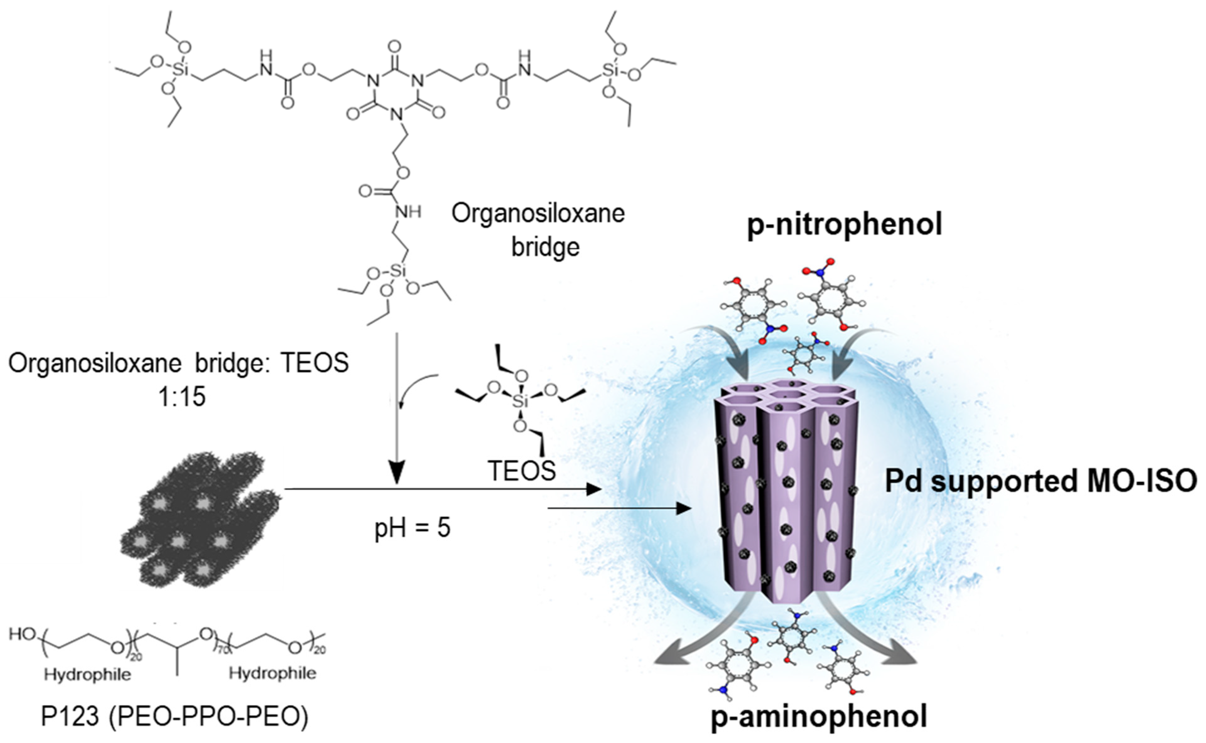 Catalysts 11 00621 g001