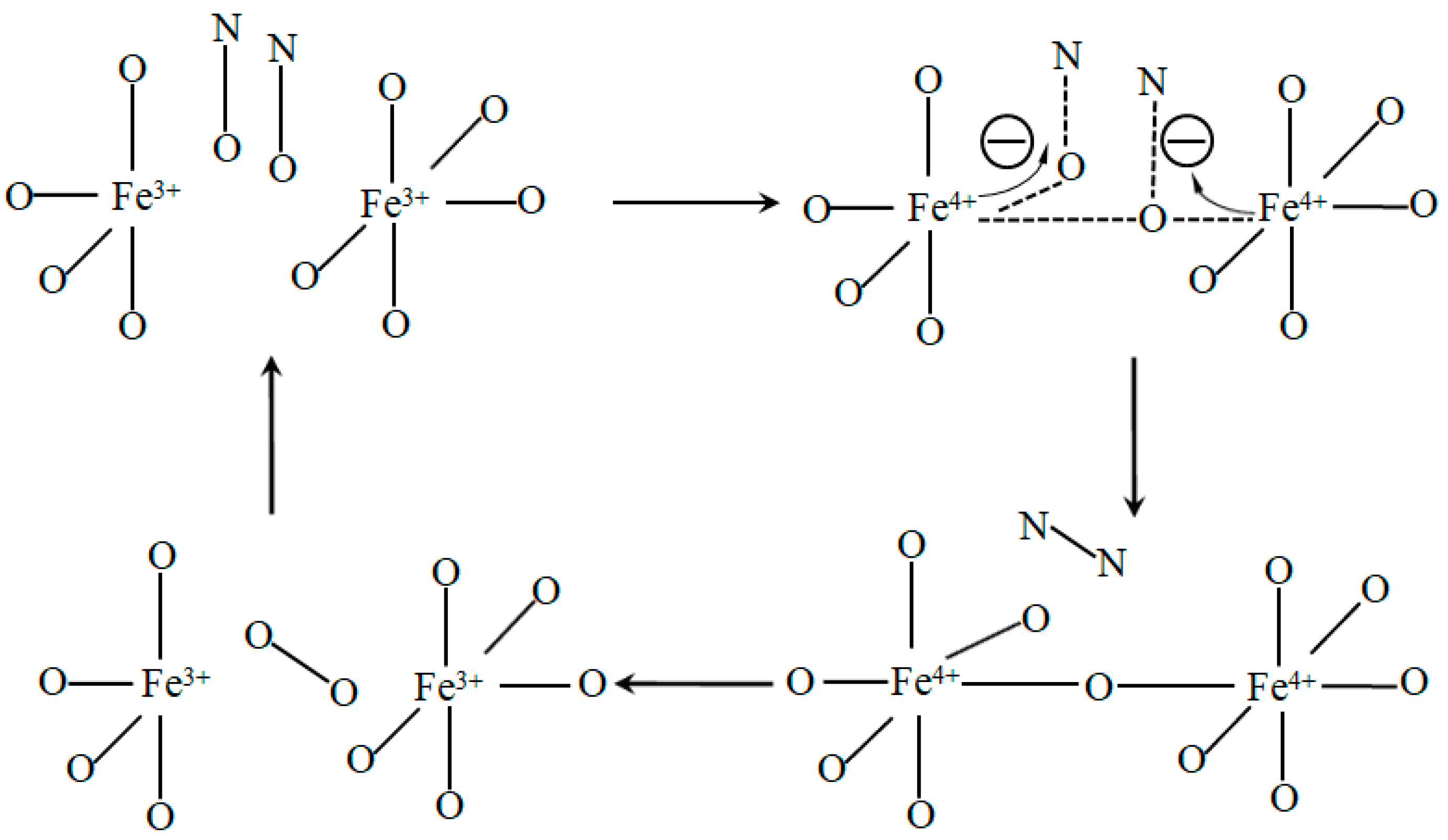 Catalysts 11 00622 g002