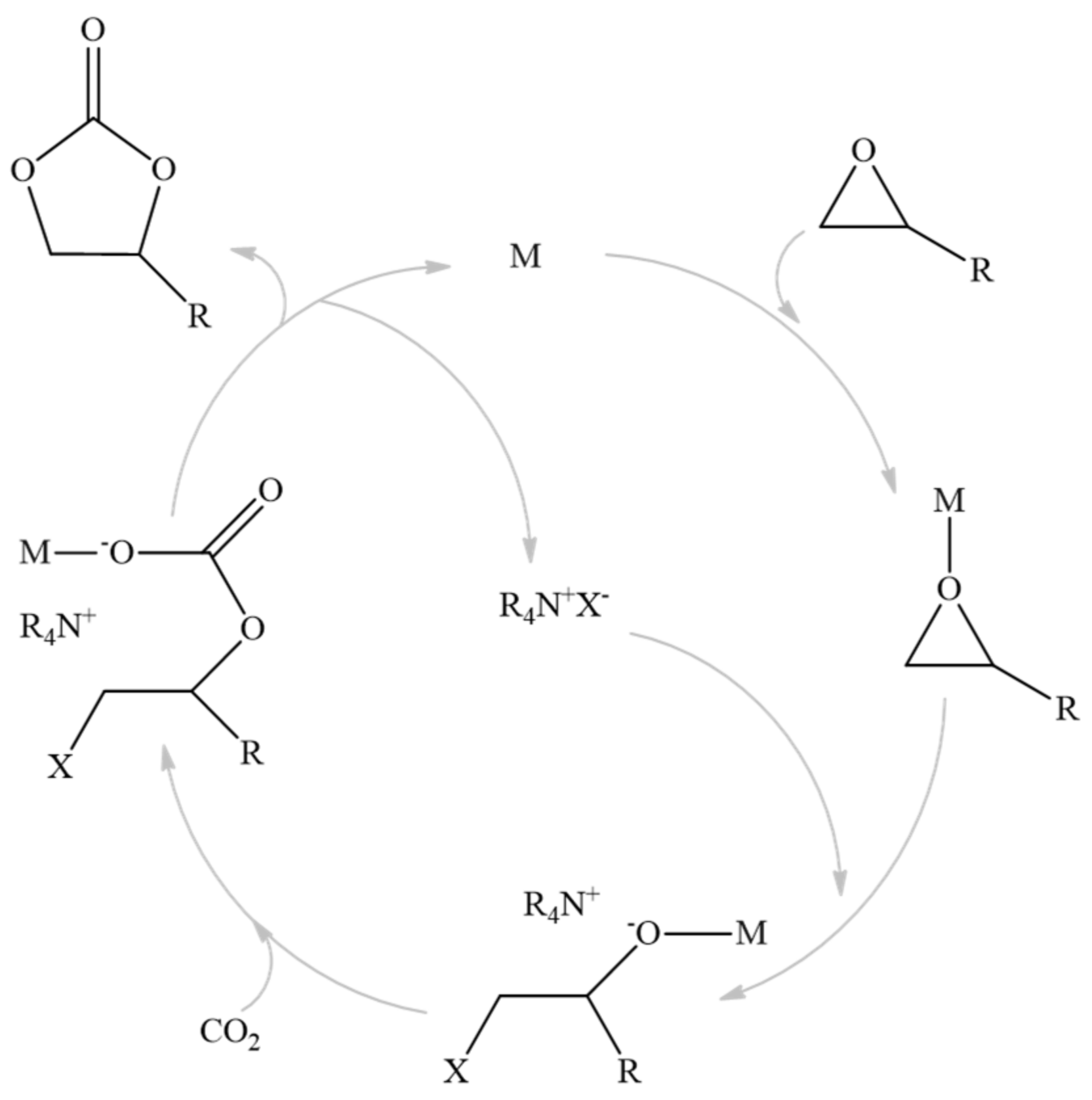 Catalysts 11 00628 g001