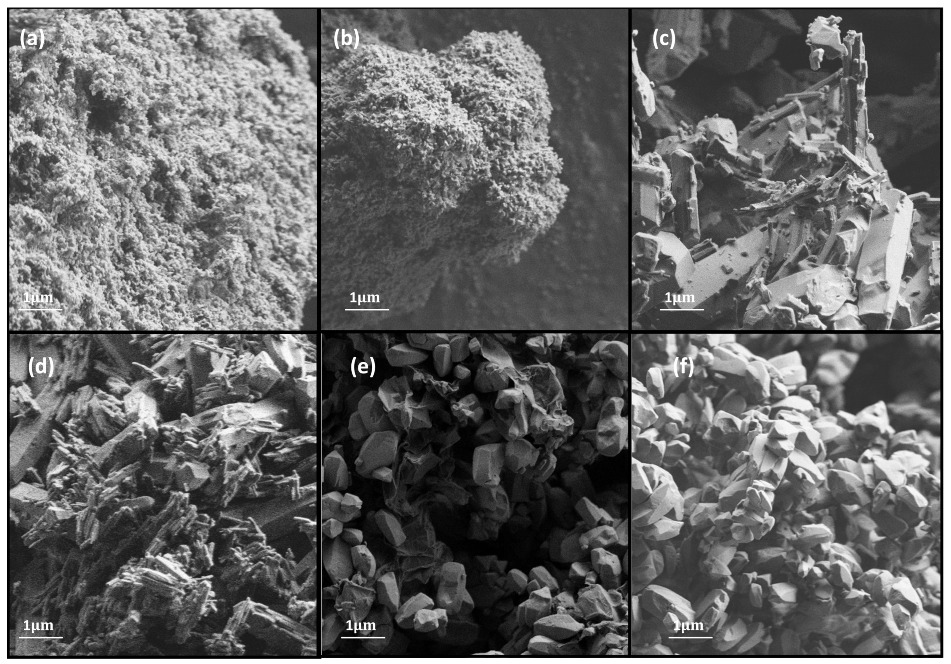 Catalysts 11 00628 g004