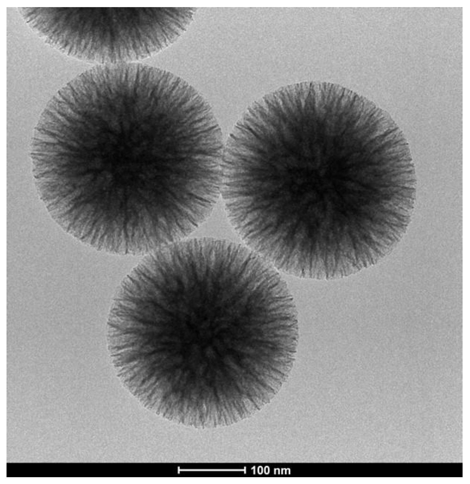 Catalysts 11 00629 g003 Catalysts 11 00629 g003