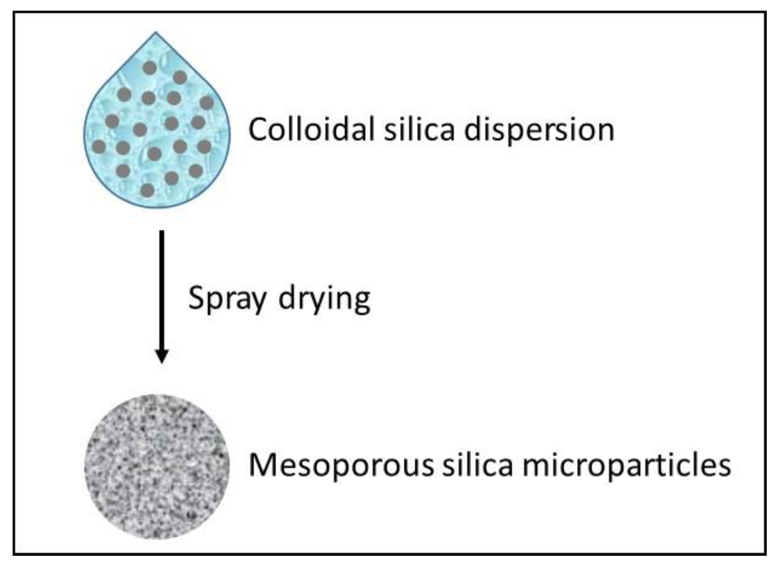 Catalysts 11 00629 g005 Catalysts 11 00629 g005