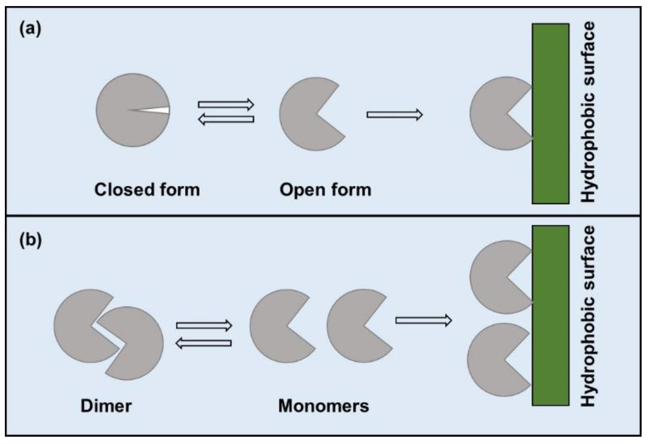 Catalysts 11 00629 g006 Catalysts 11 00629 g006