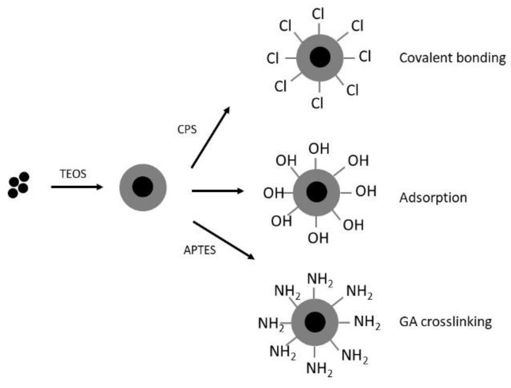 Catalysts 11 00629 g014 Catalysts 11 00629 g014