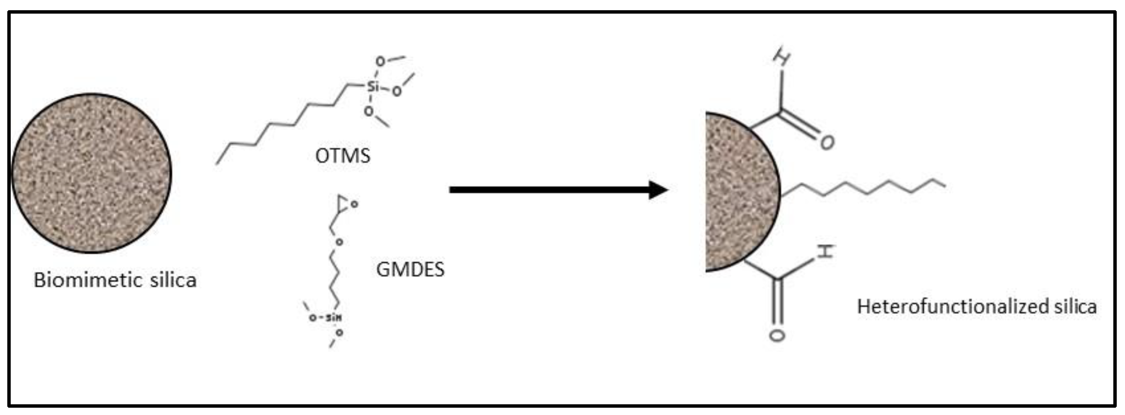 Catalysts 11 00629 g017 Catalysts 11 00629 g017