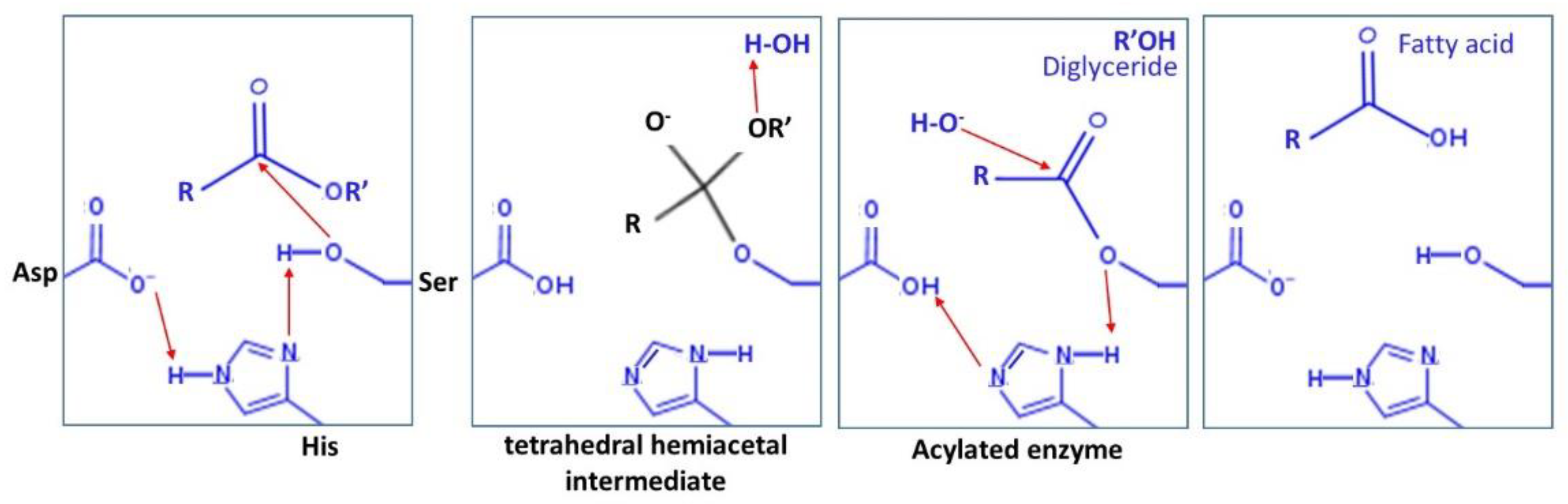 Catalysts 11 00629 sch002 Catalysts 11 00629 sch002