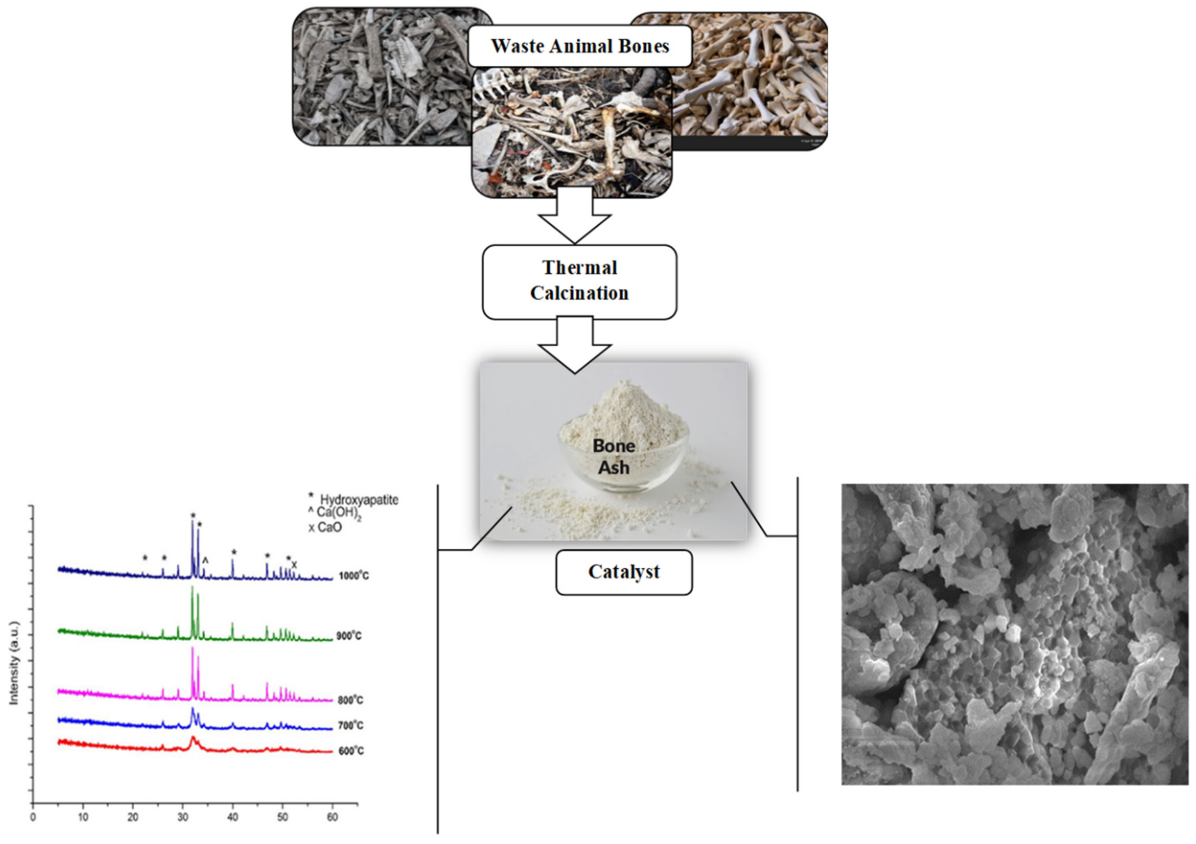 Catalysts 11 00630 g002 Catalysts 11 00630 g002