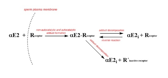 Catalysts Free FullText Study of 17αEstradiol Activity in