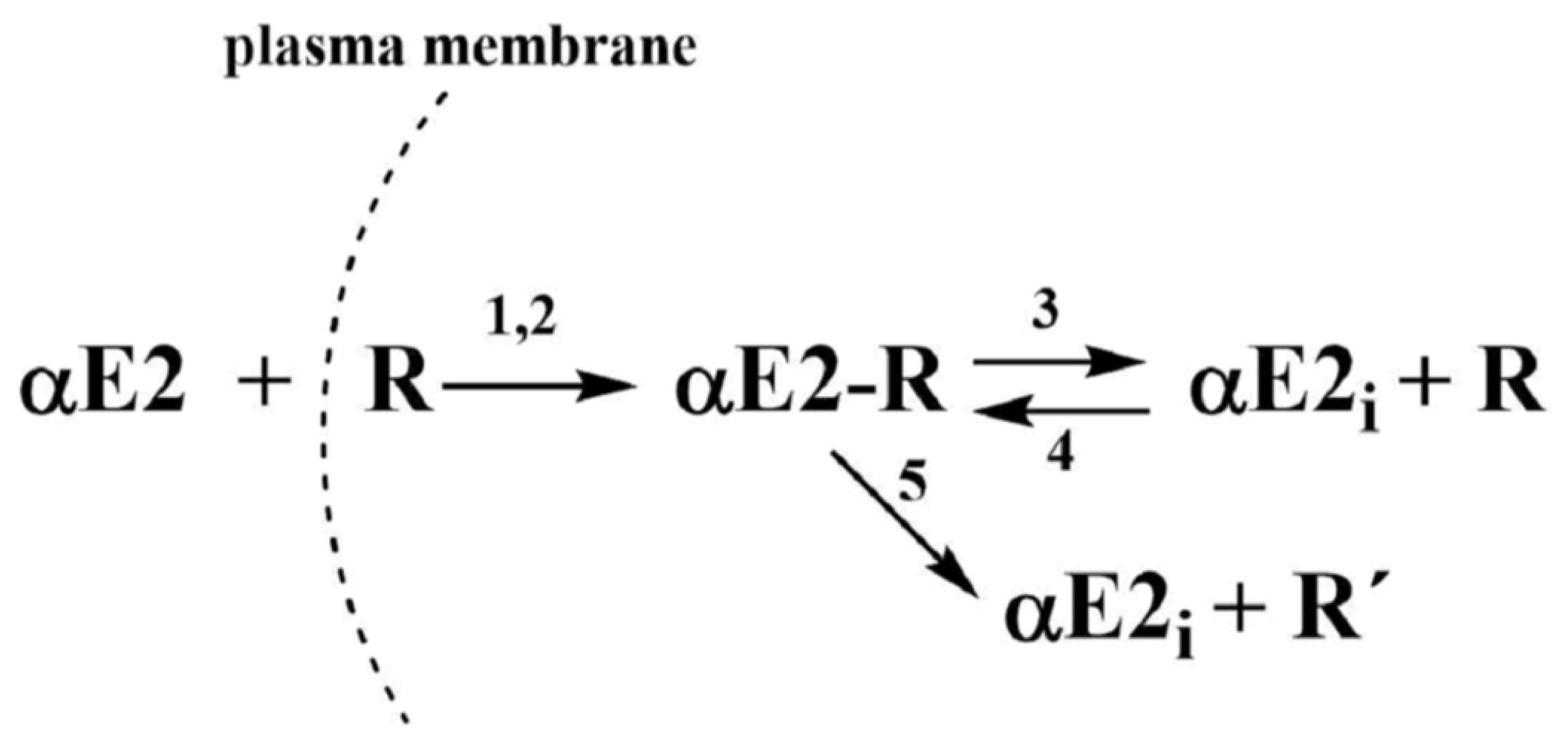 Catalysts 11 00634 g002 Catalysts 11 00634 g002