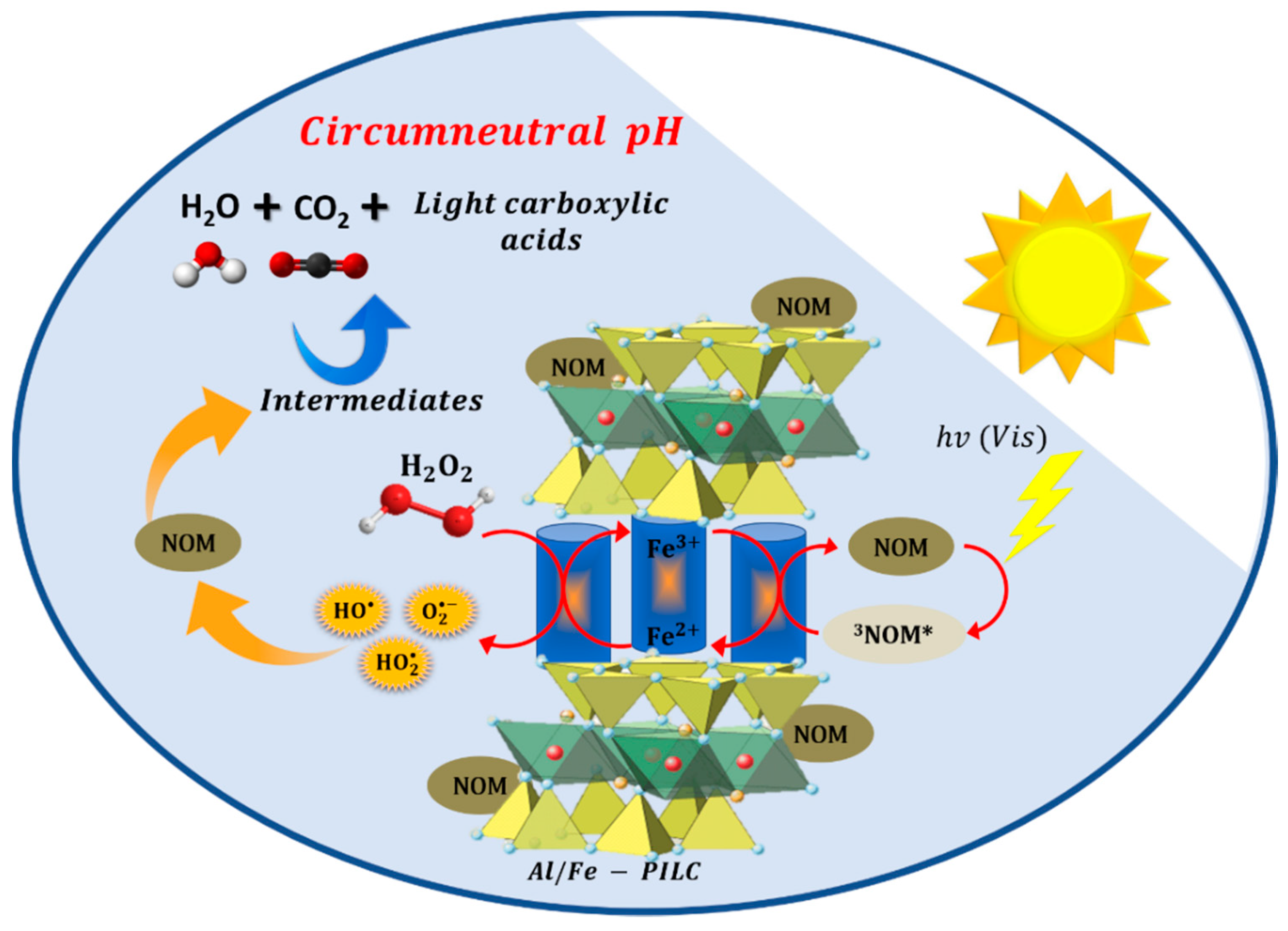 Catalysts 11 00637 g005
