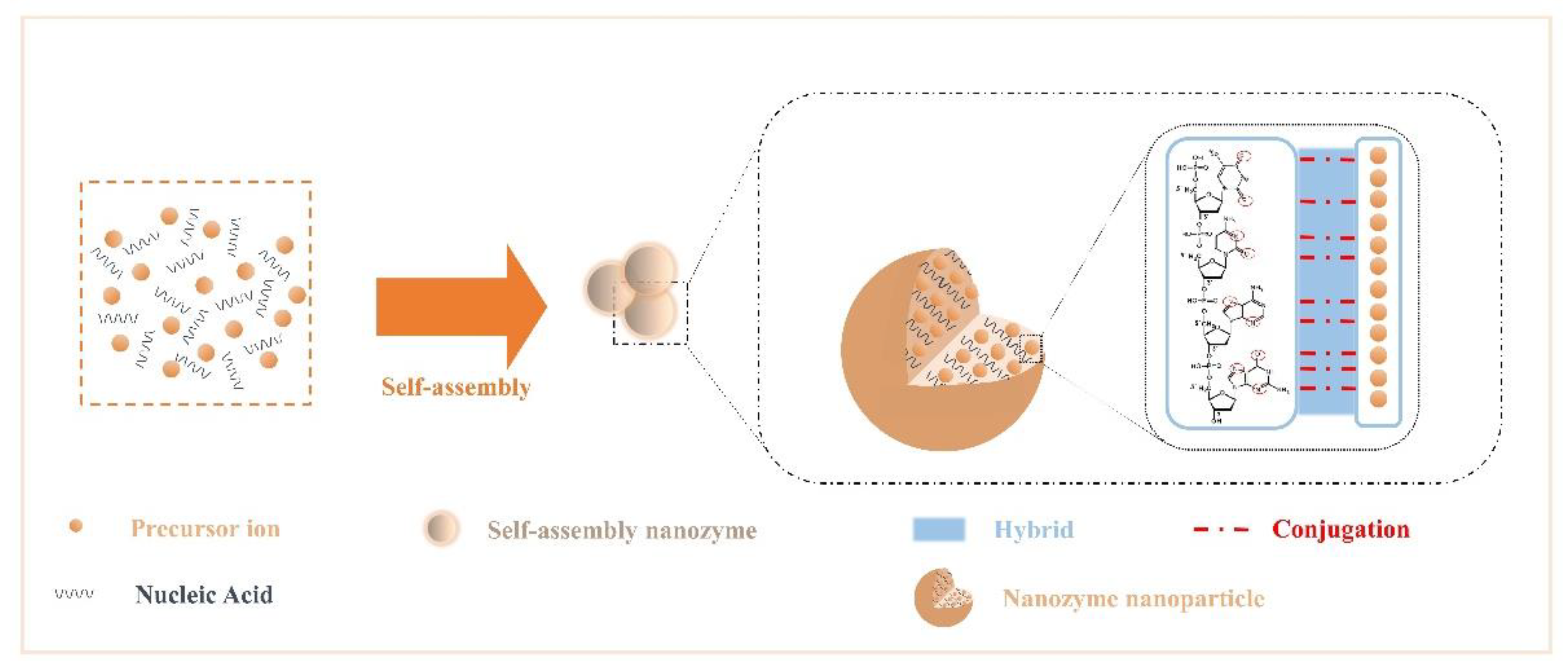 Catalysts 11 00638 g001
