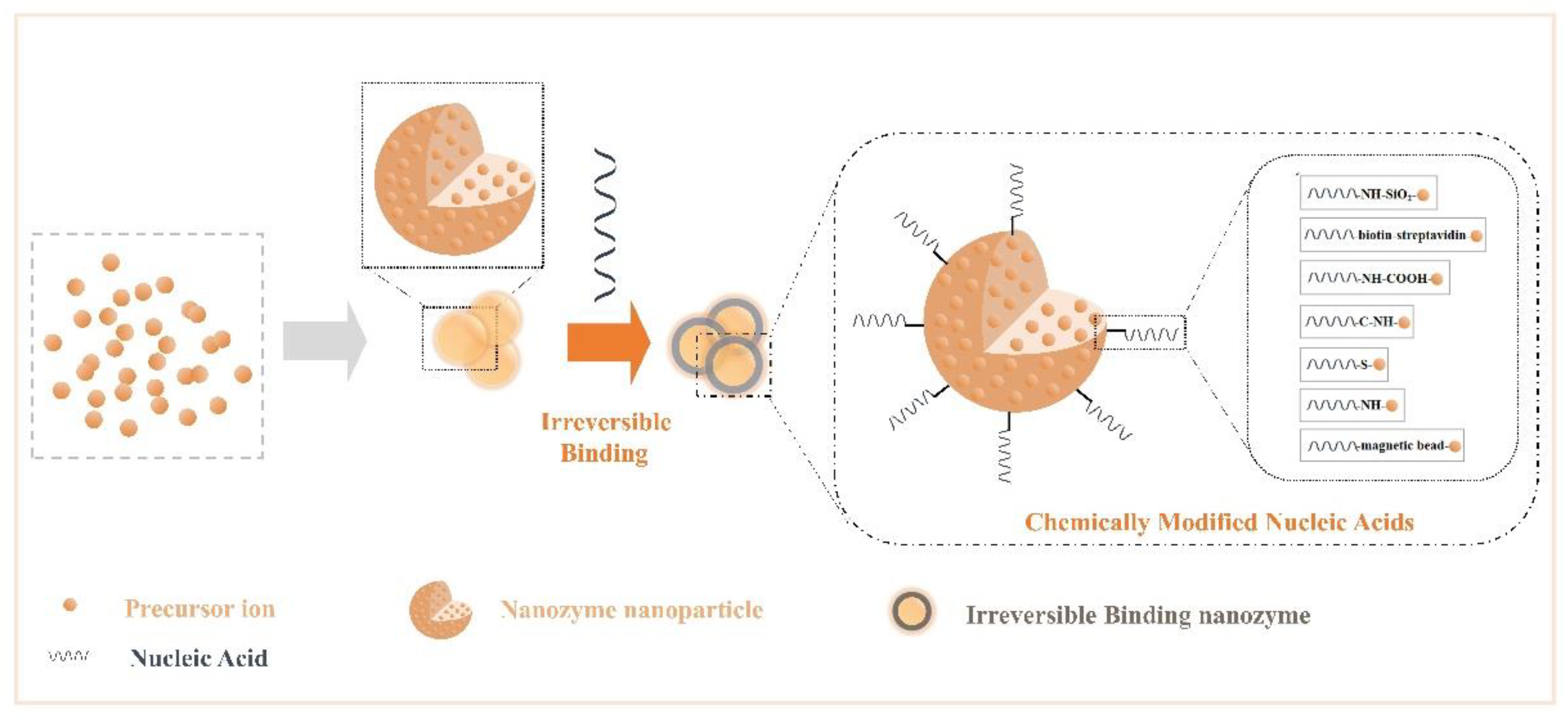 Catalysts 11 00638 g002