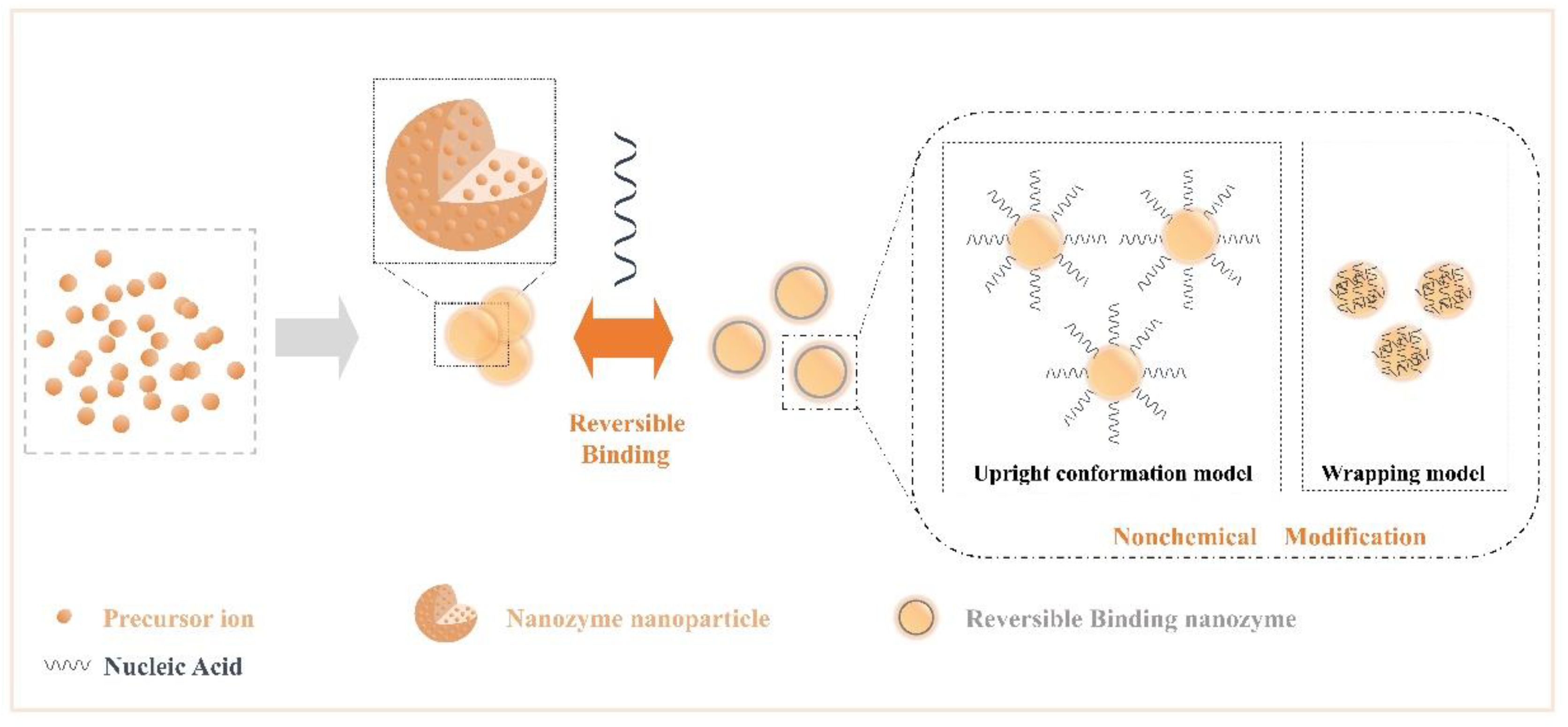 Catalysts 11 00638 g003