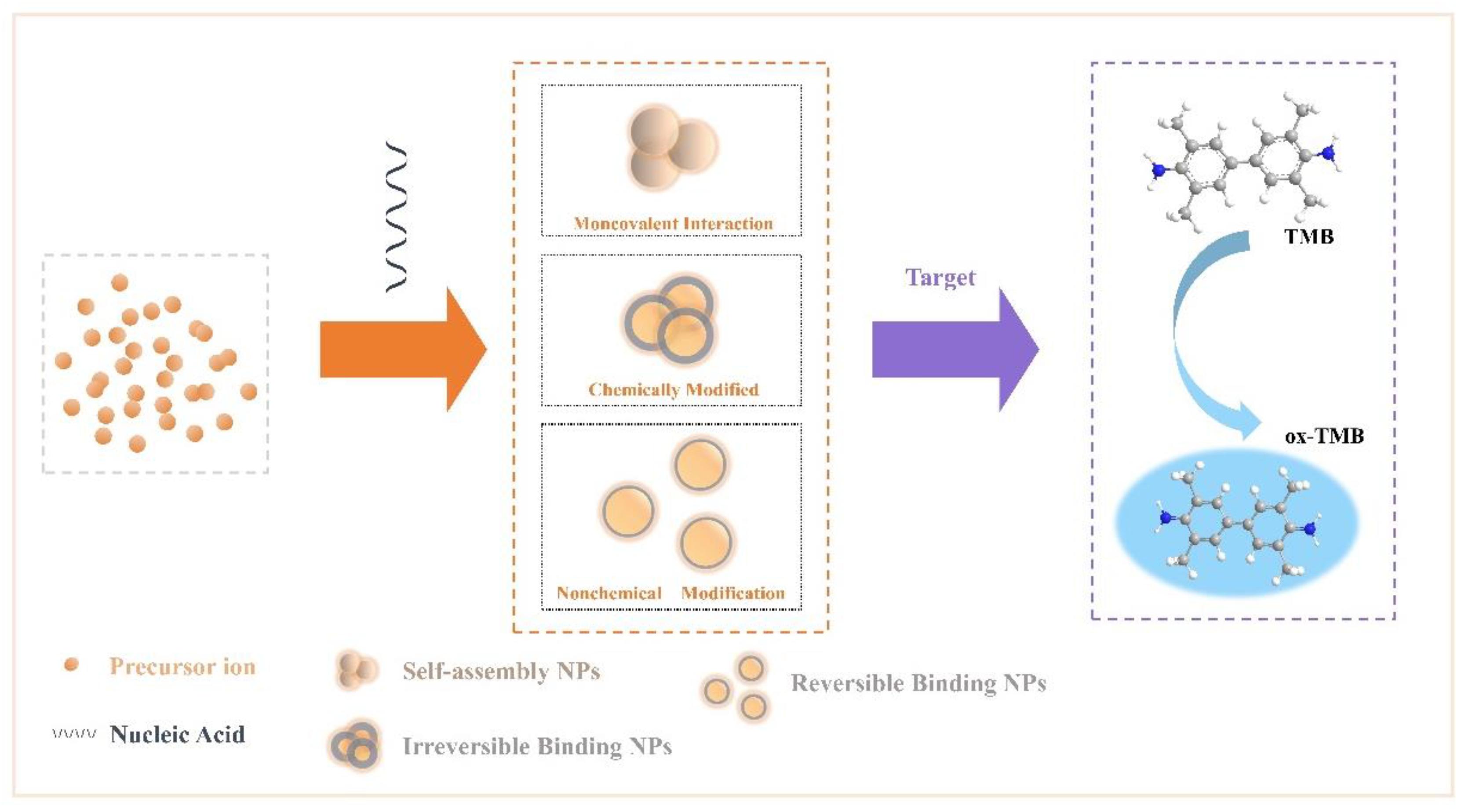 Catalysts 11 00638 g004