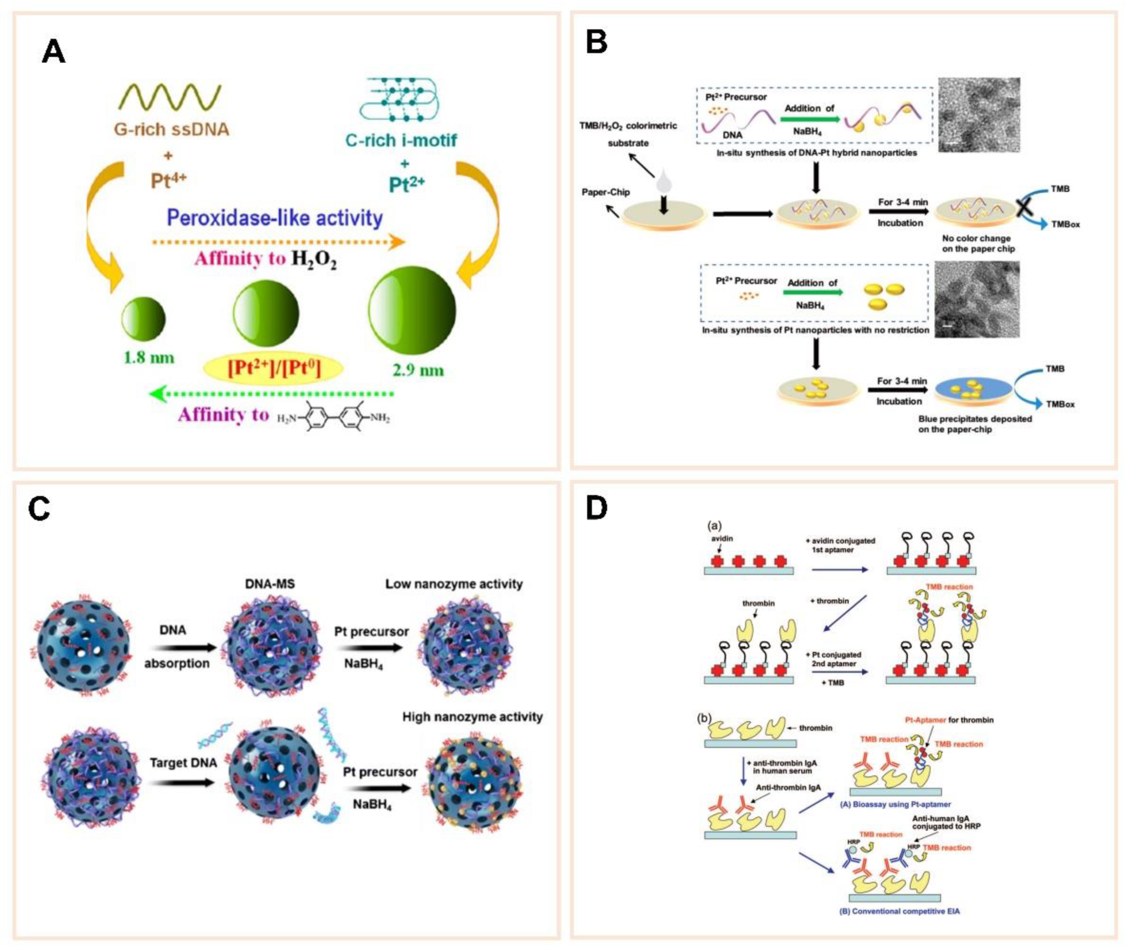Catalysts 11 00638 g005