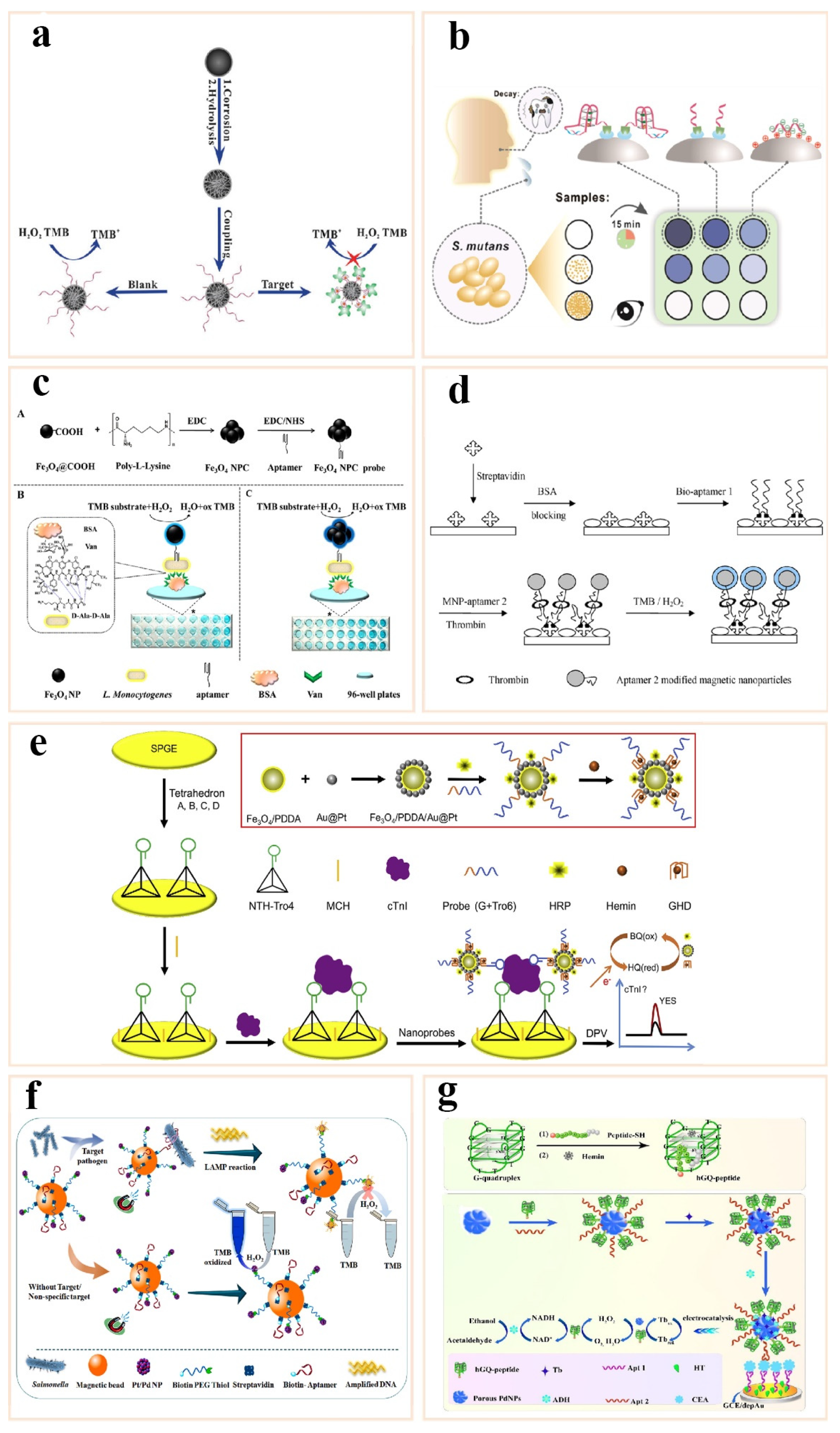 Catalysts 11 00638 g006