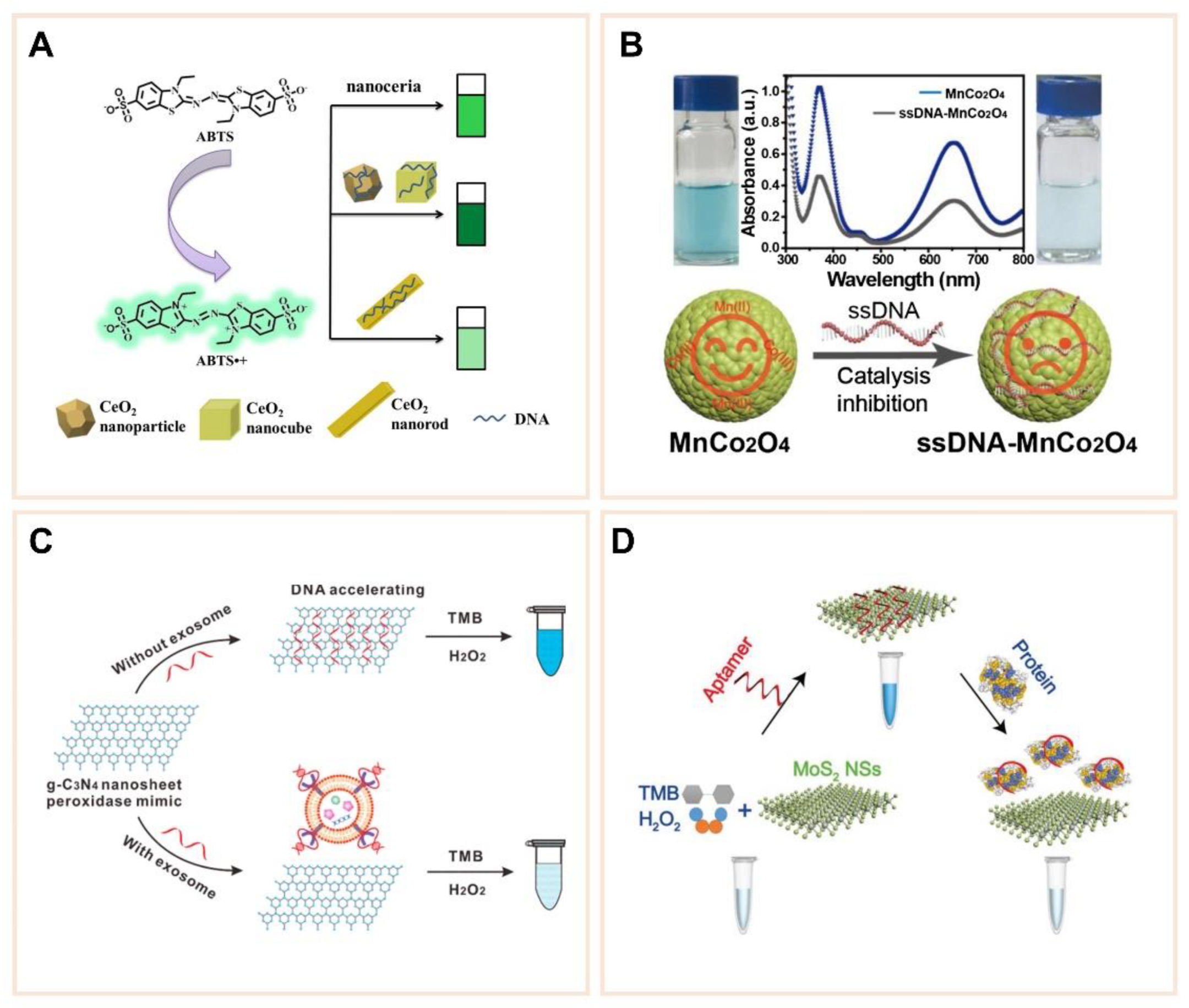 Catalysts 11 00638 g008