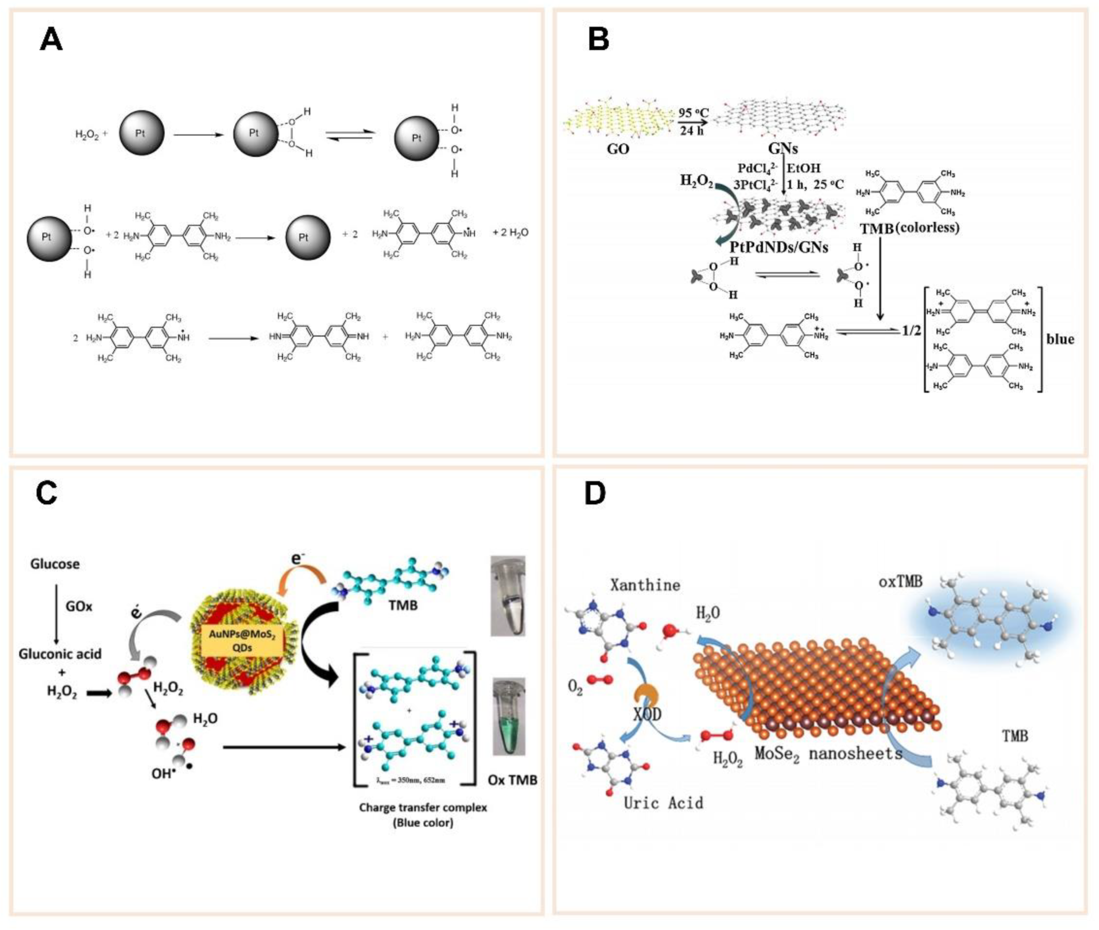 Catalysts 11 00638 g009