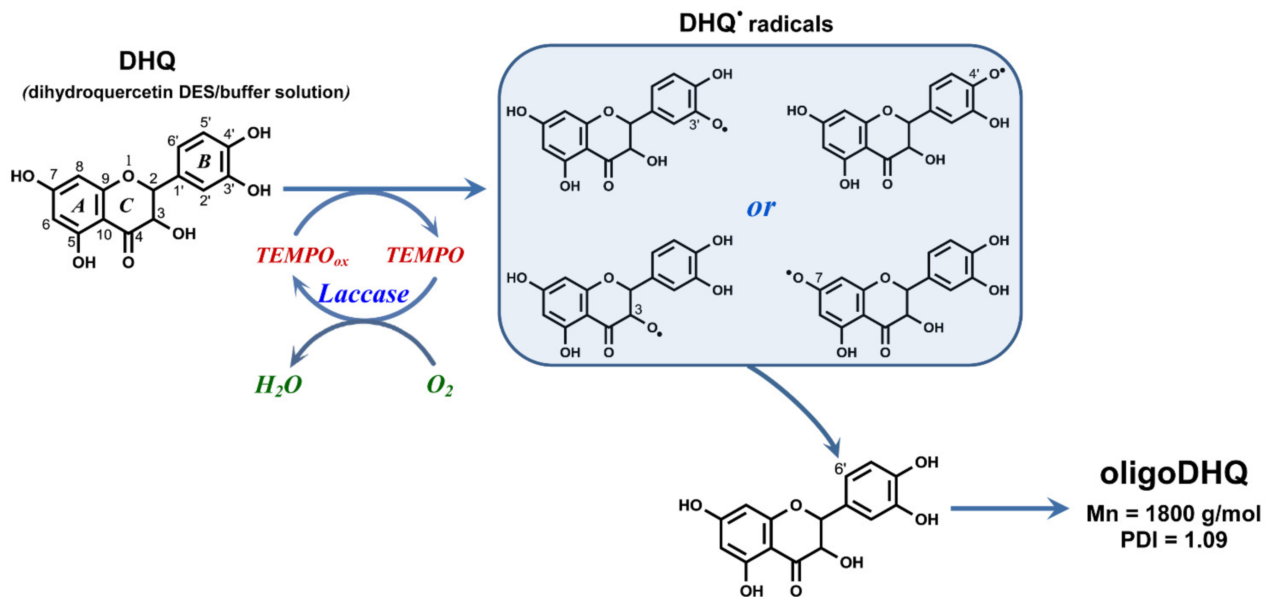 Catalysts 11 00639 g008 Catalysts 11 00639 g008