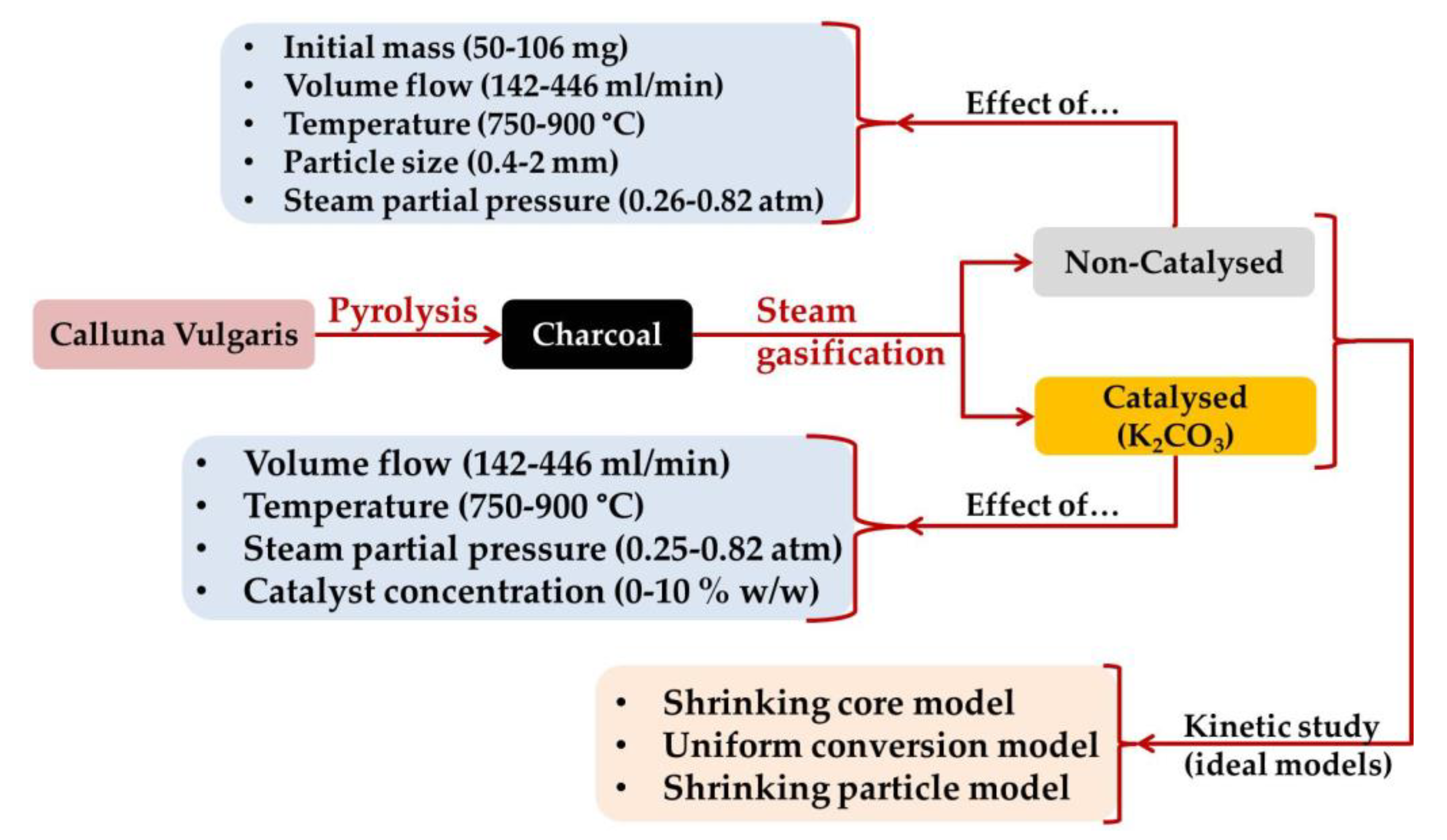 Catalysts 11 00657 g010