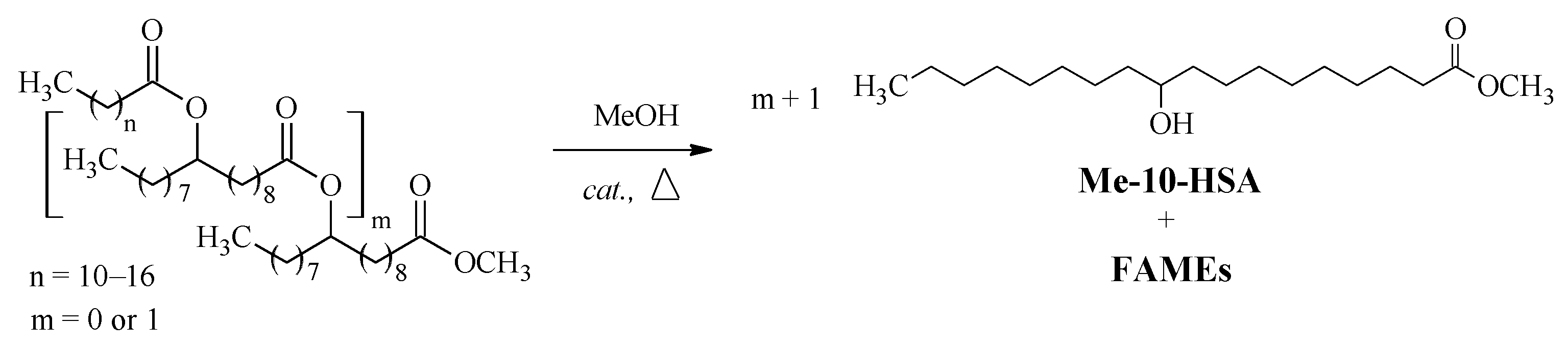 Catalysts 11 00663 g001