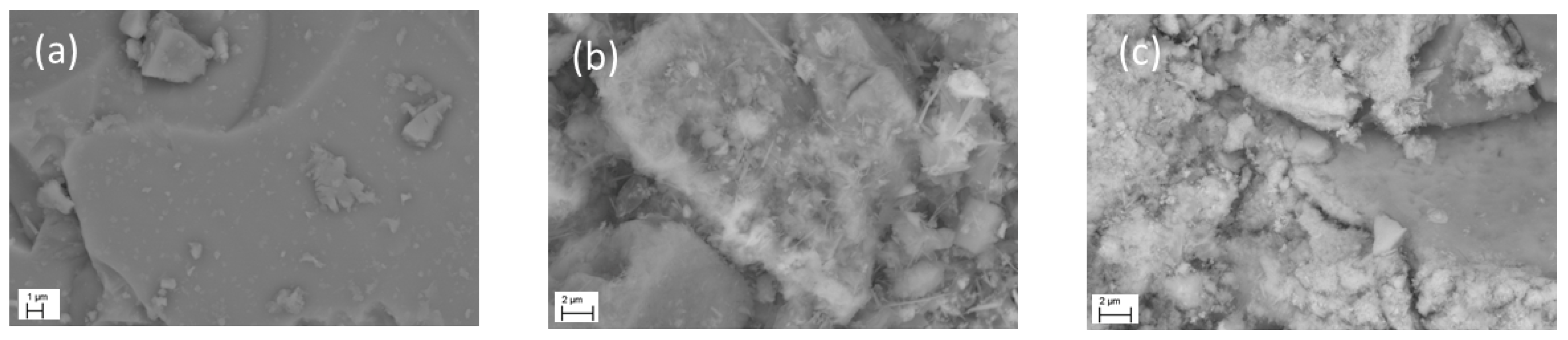 Catalysts 11 00664 g003