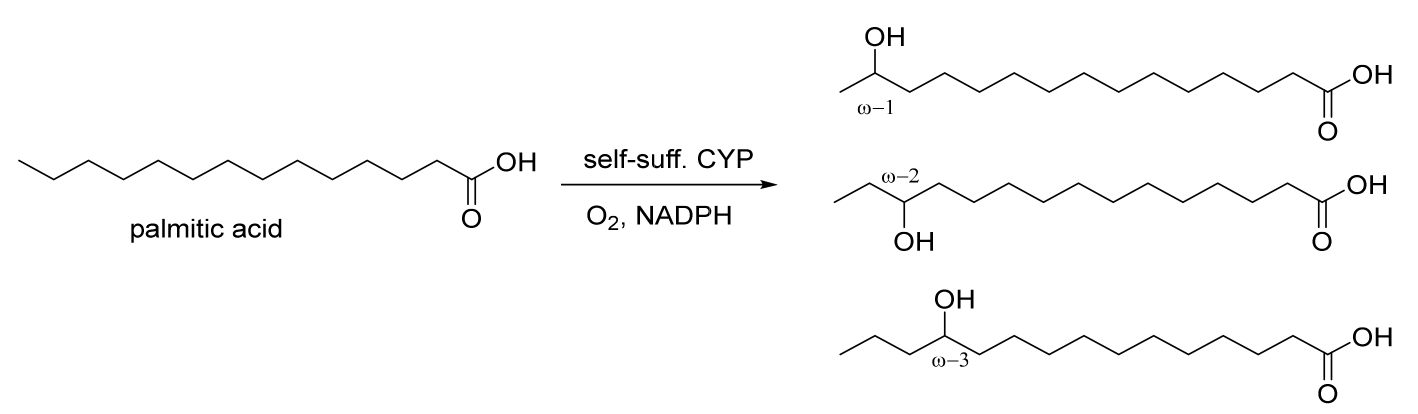 Catalysts 11 00665 sch001 Catalysts 11 00665 sch001