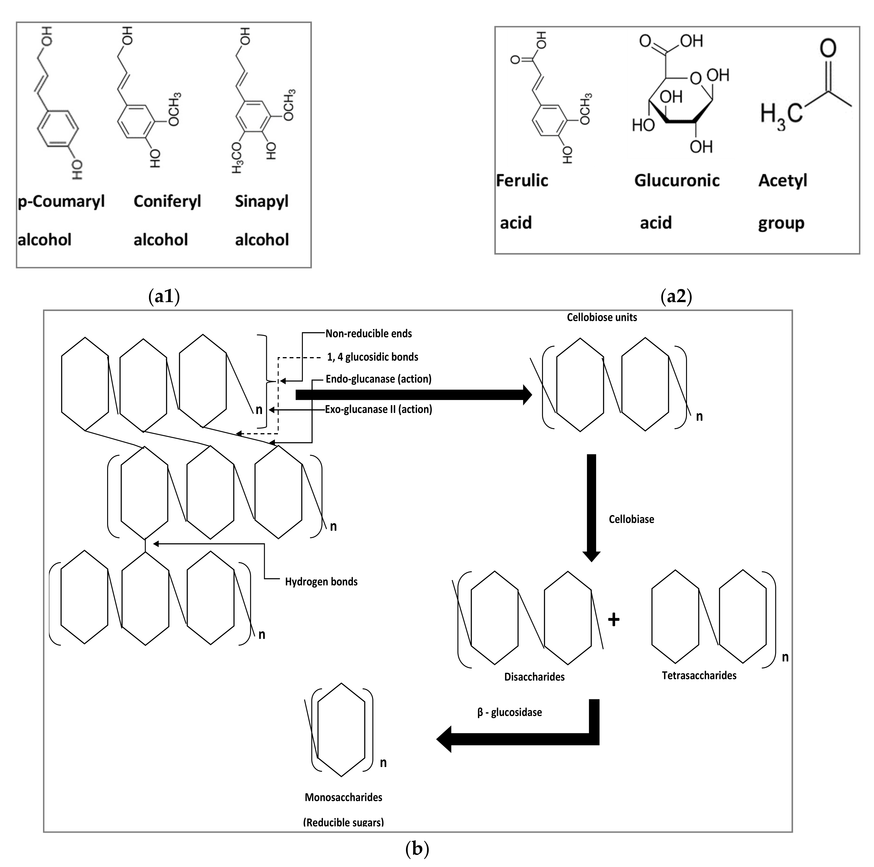 Catalysts 11 00668 g001a Catalysts 11 00668 g001a