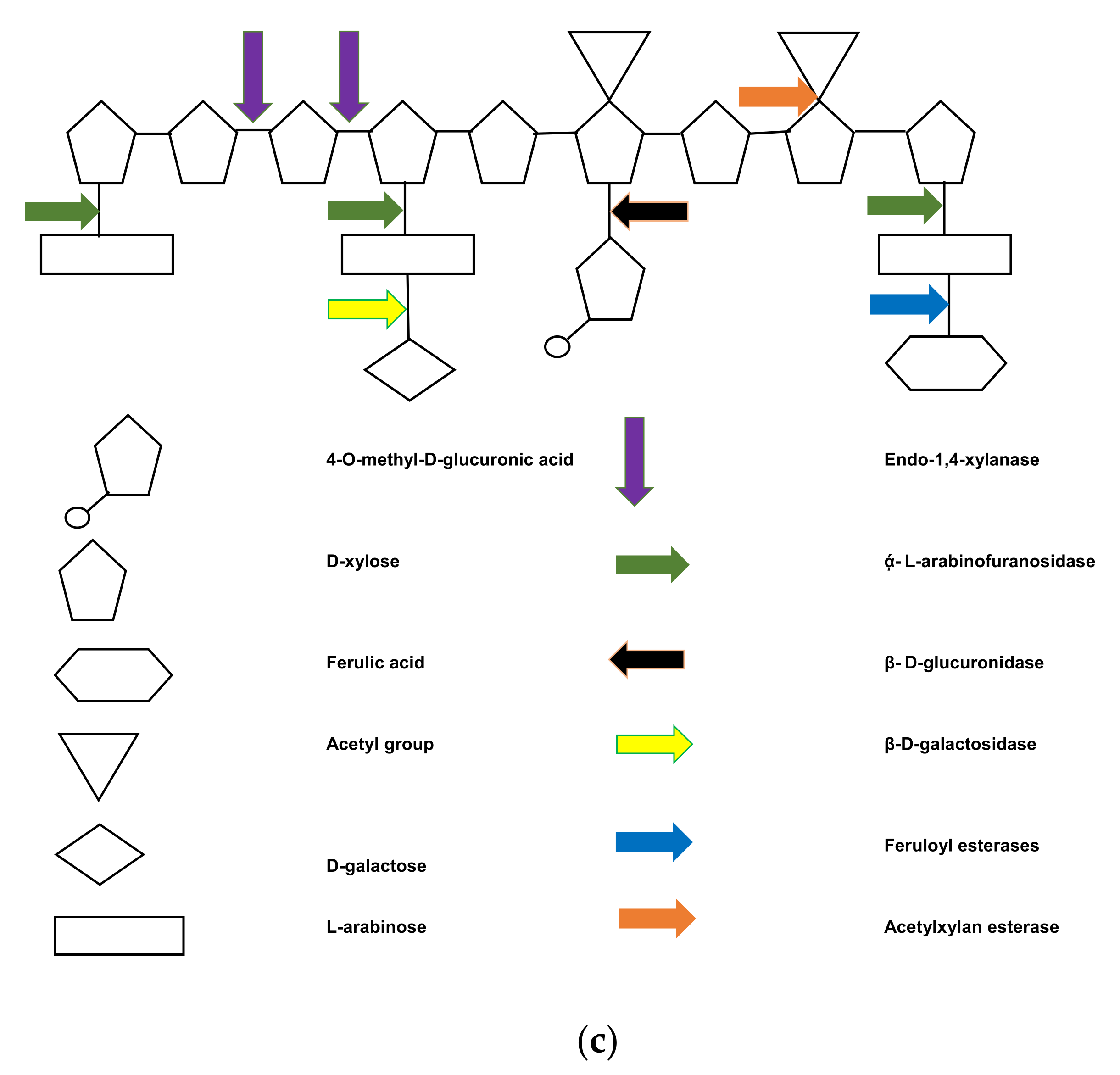 Catalysts 11 00668 g001b Catalysts 11 00668 g001b