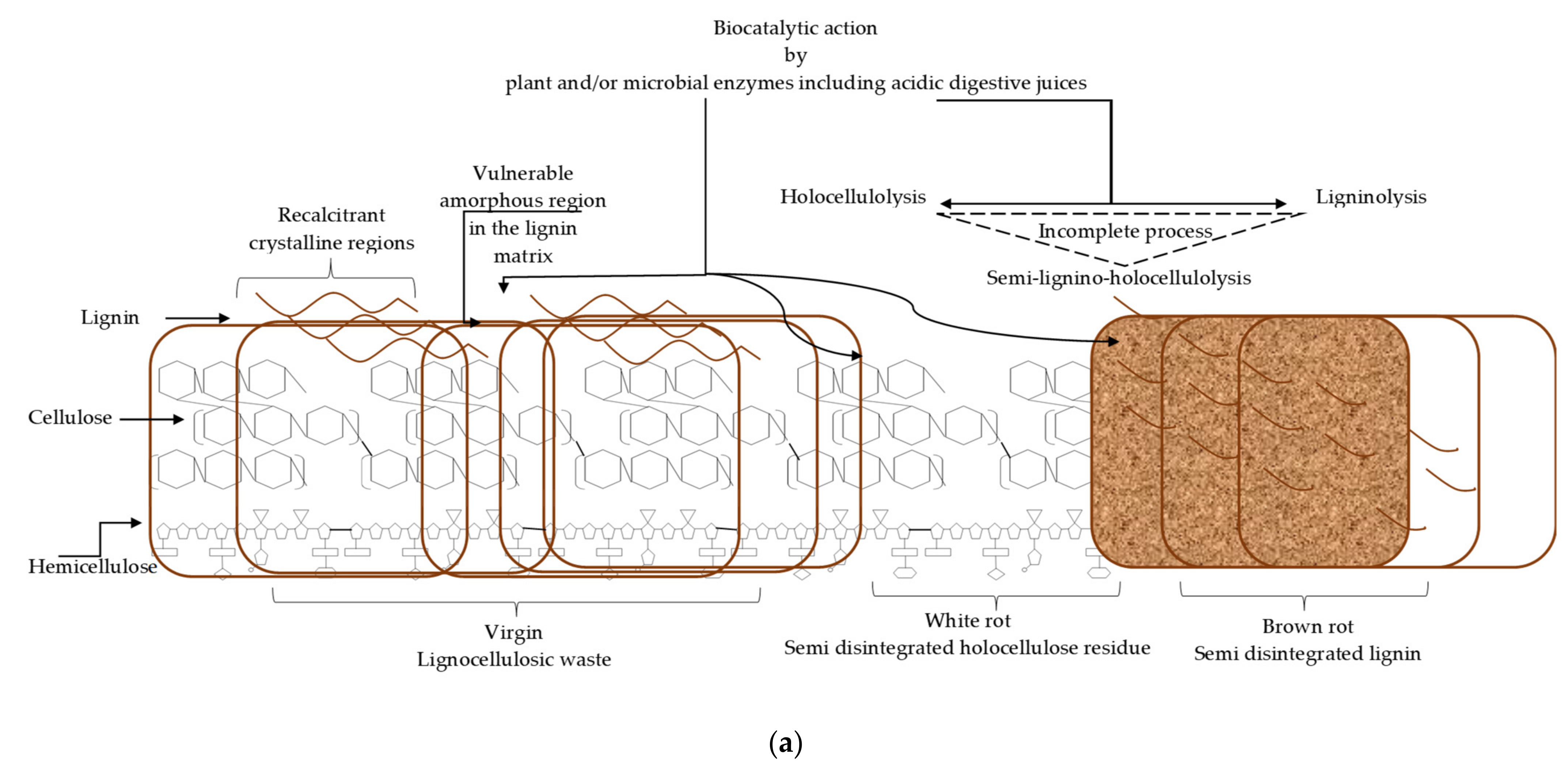 Catalysts 11 00668 g002a Catalysts 11 00668 g002a