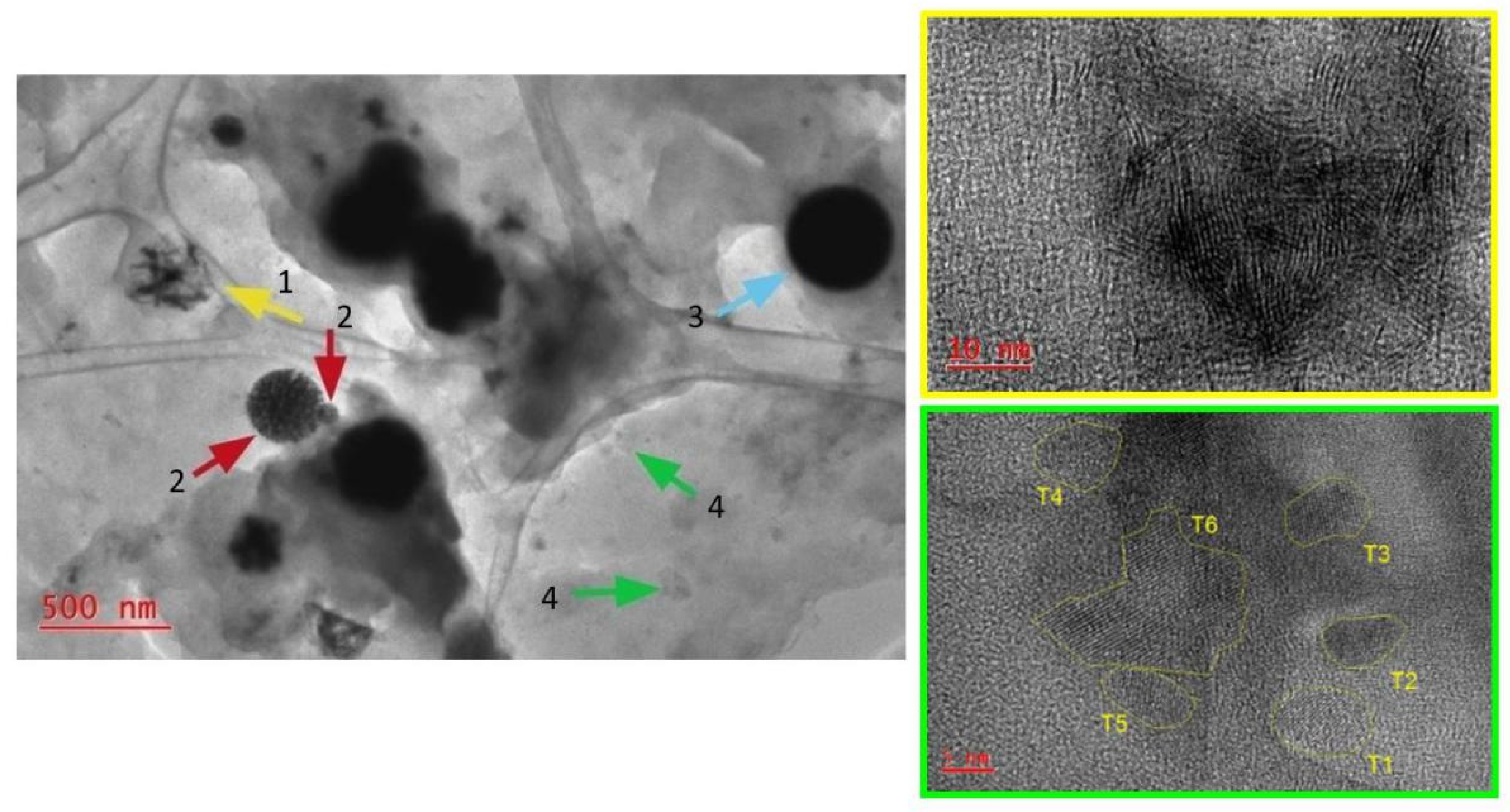 Catalysts 11 00676 g001 Catalysts 11 00676 g001