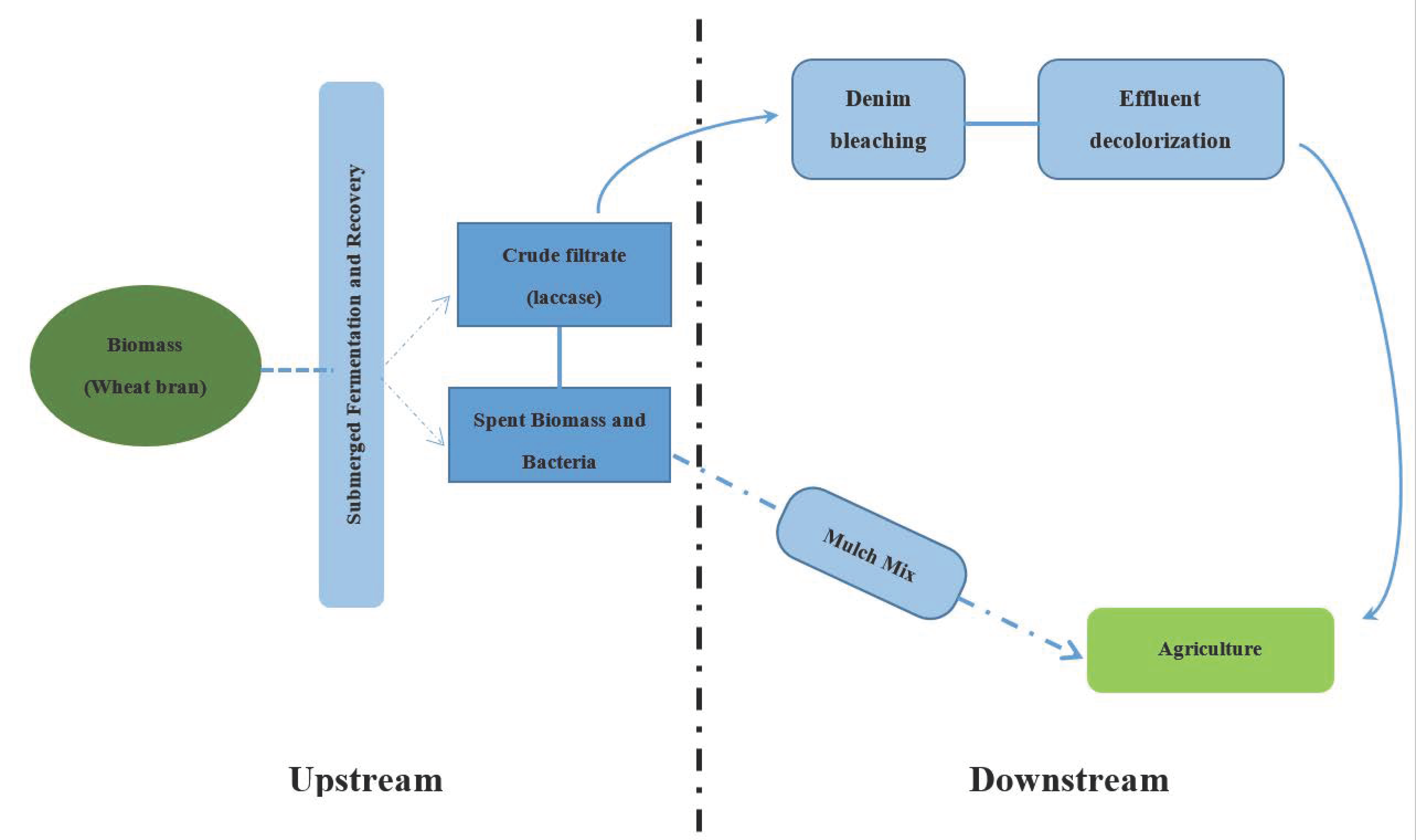 Catalysts 11 00677 g006 Catalysts 11 00677 g006