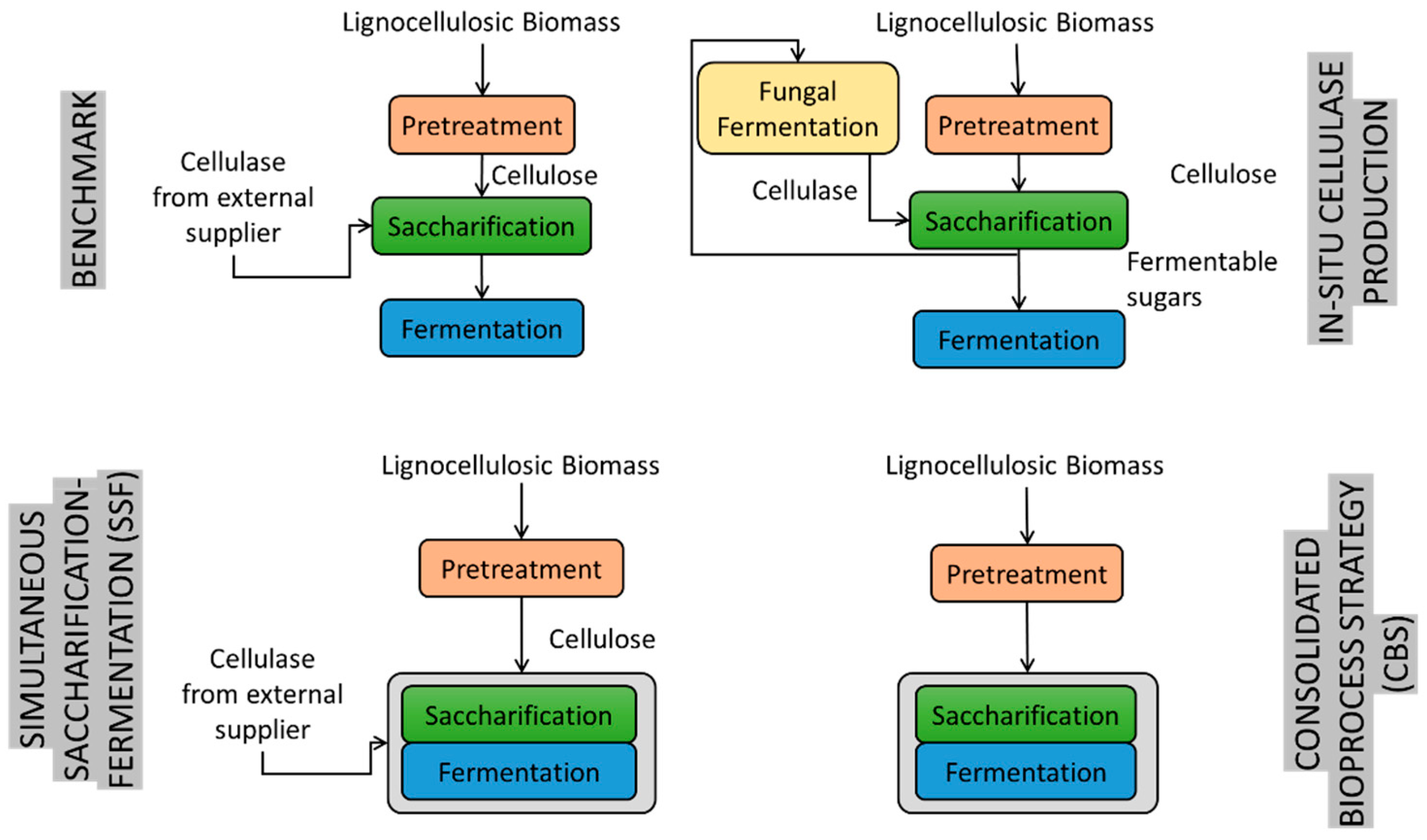 Catalysts 11 00680 g003 Catalysts 11 00680 g003