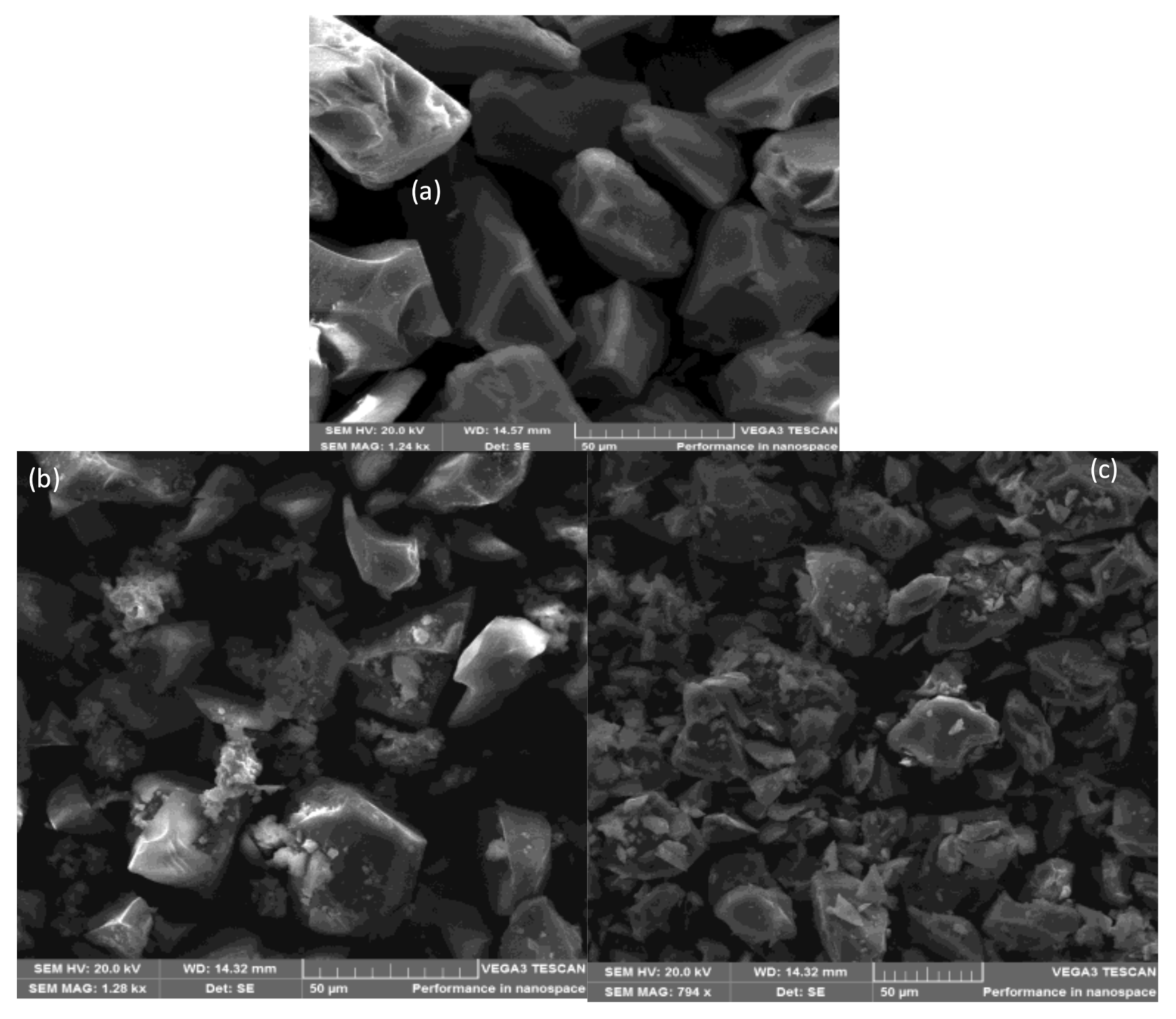 Catalysts 11 00684 g007