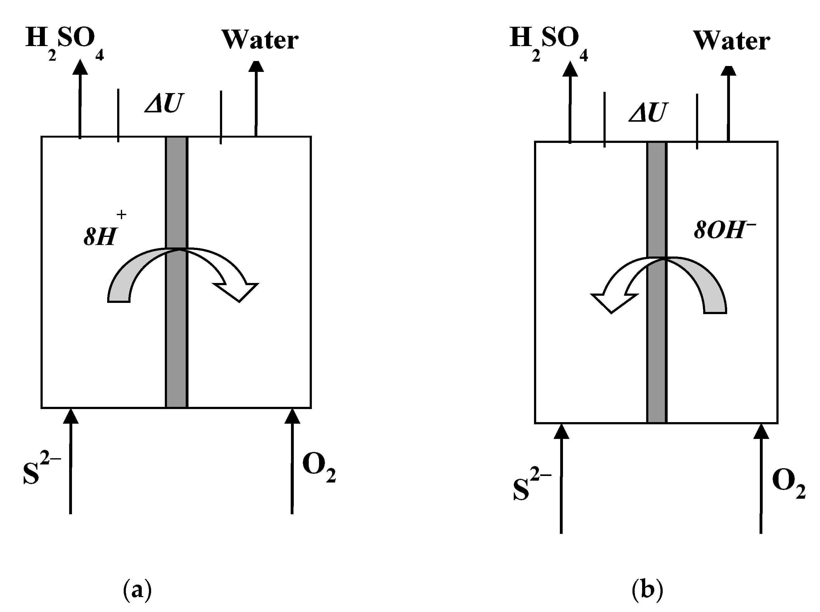 Catalysts 11 00694 g001 Catalysts 11 00694 g001