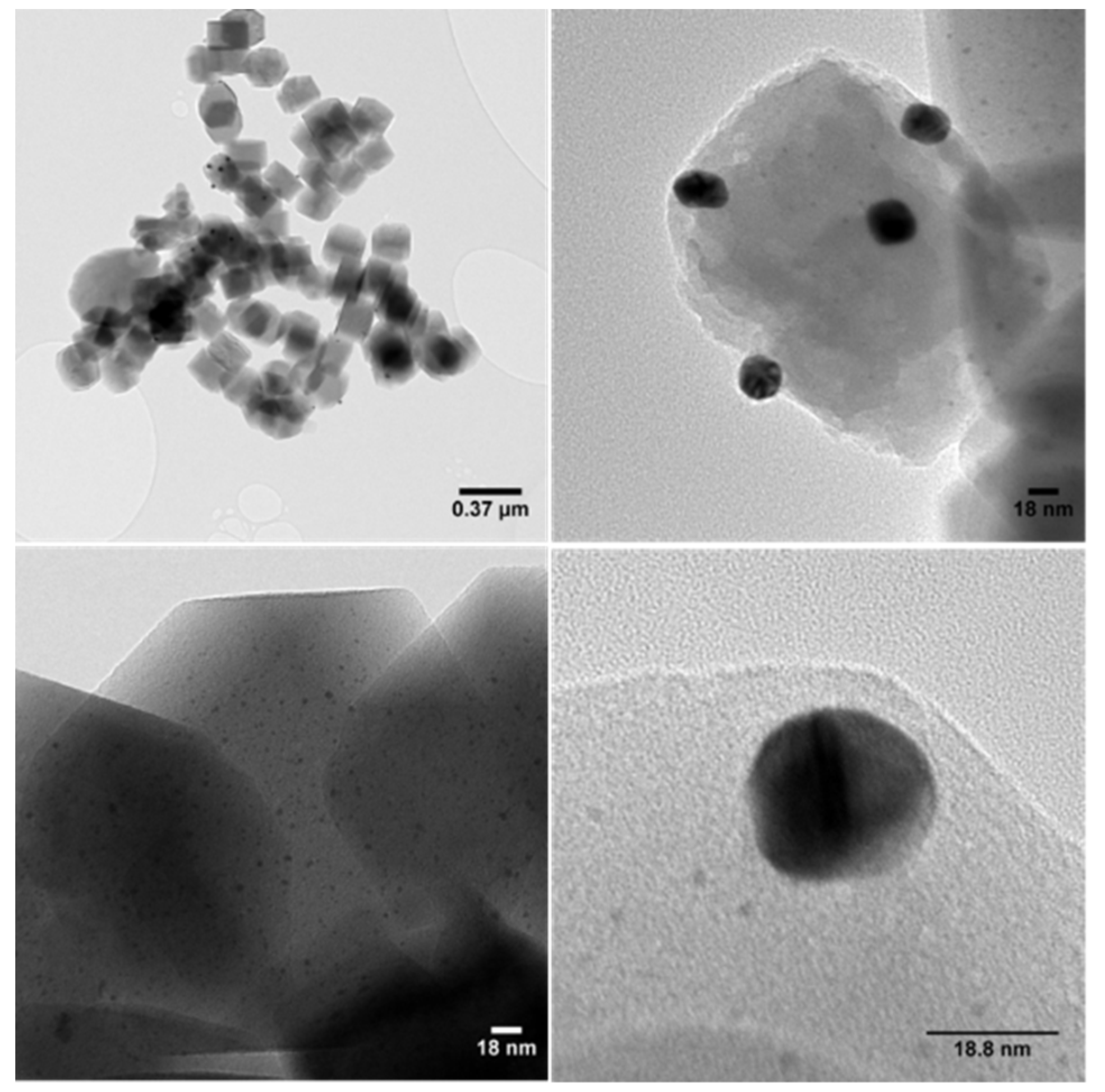 Catalysts 11 00696 g004 Catalysts 11 00696 g004