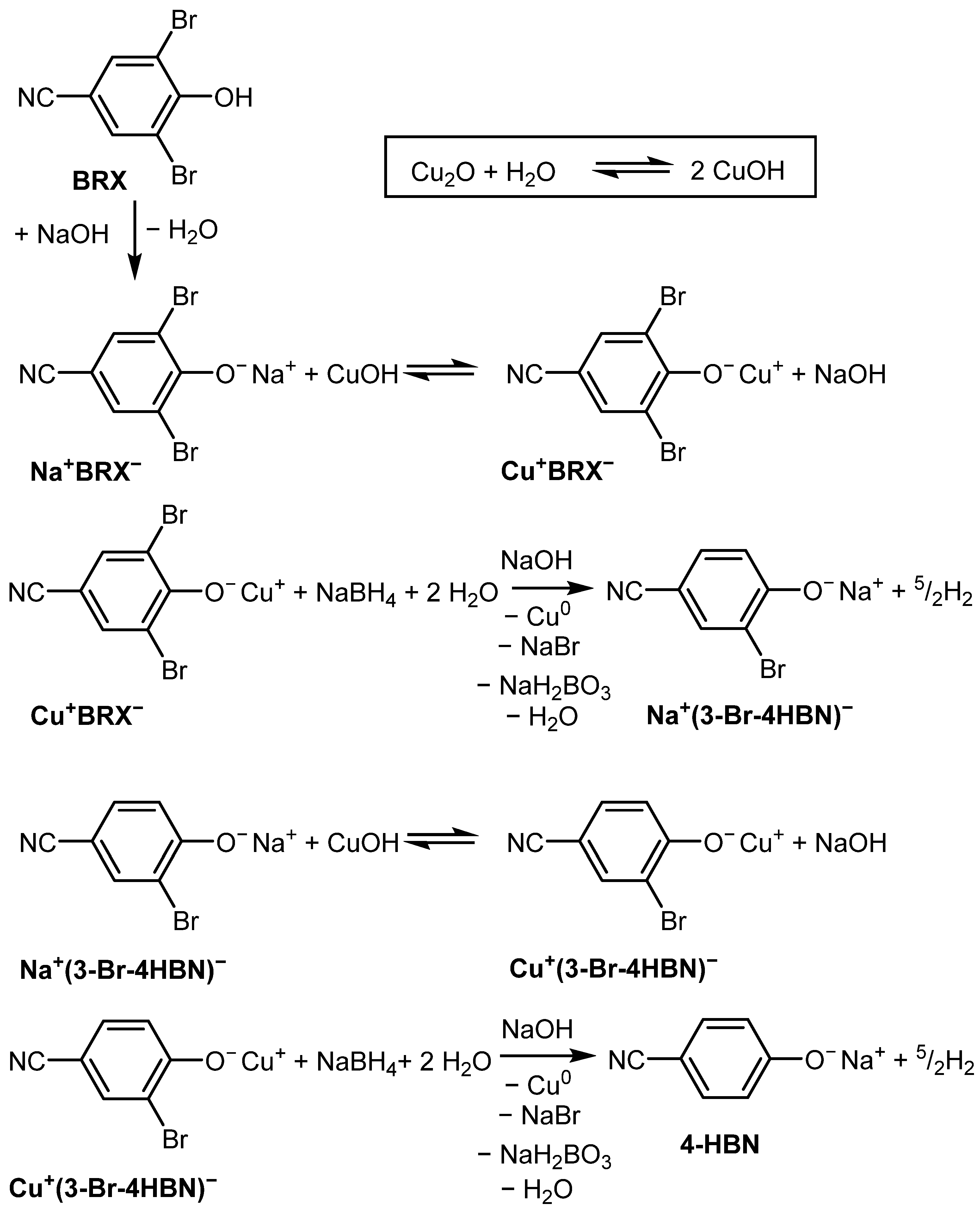 Catalysts 11 00699 sch004