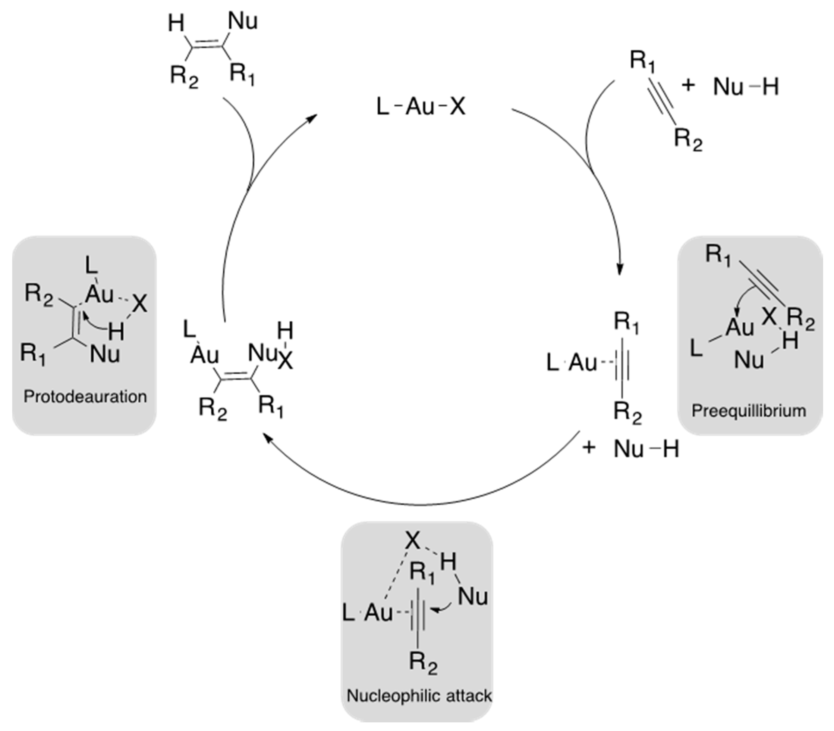 Catalysts 11 00704 g001 Catalysts 11 00704 g001
