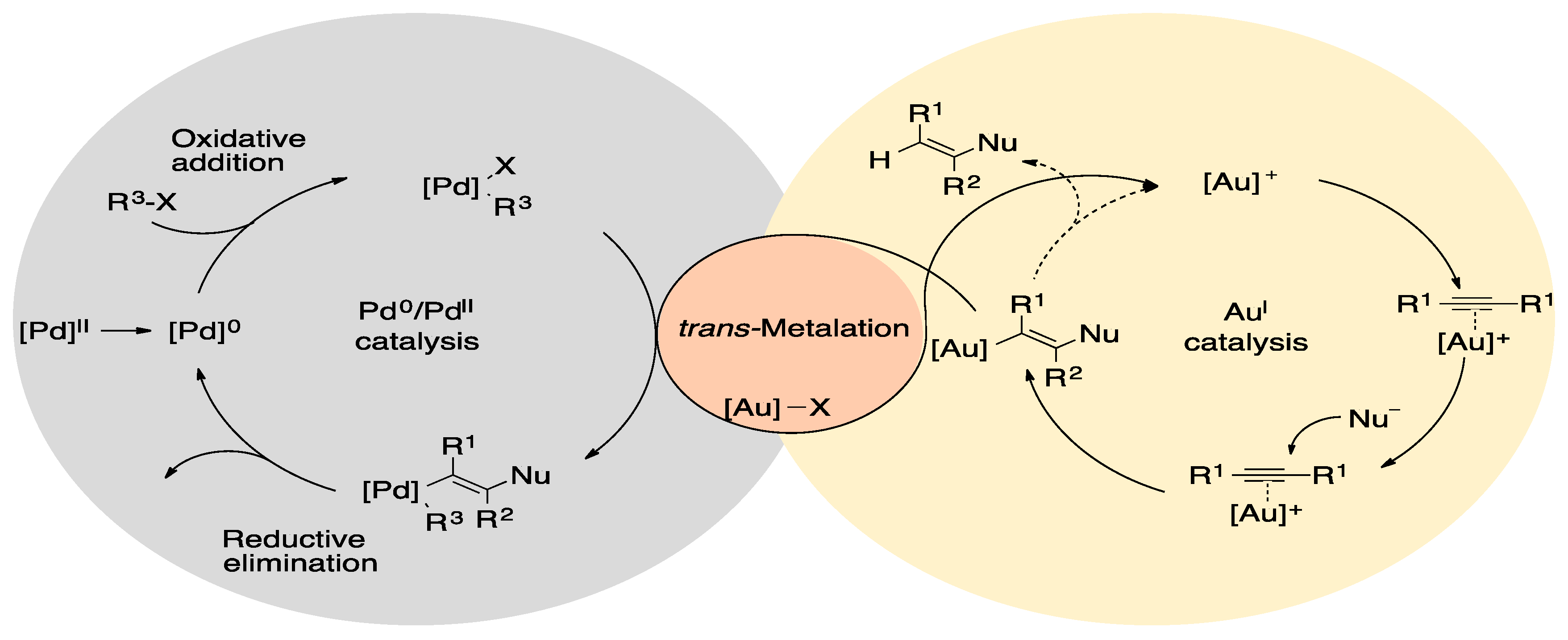 Catalysts 11 00704 g002 Catalysts 11 00704 g002