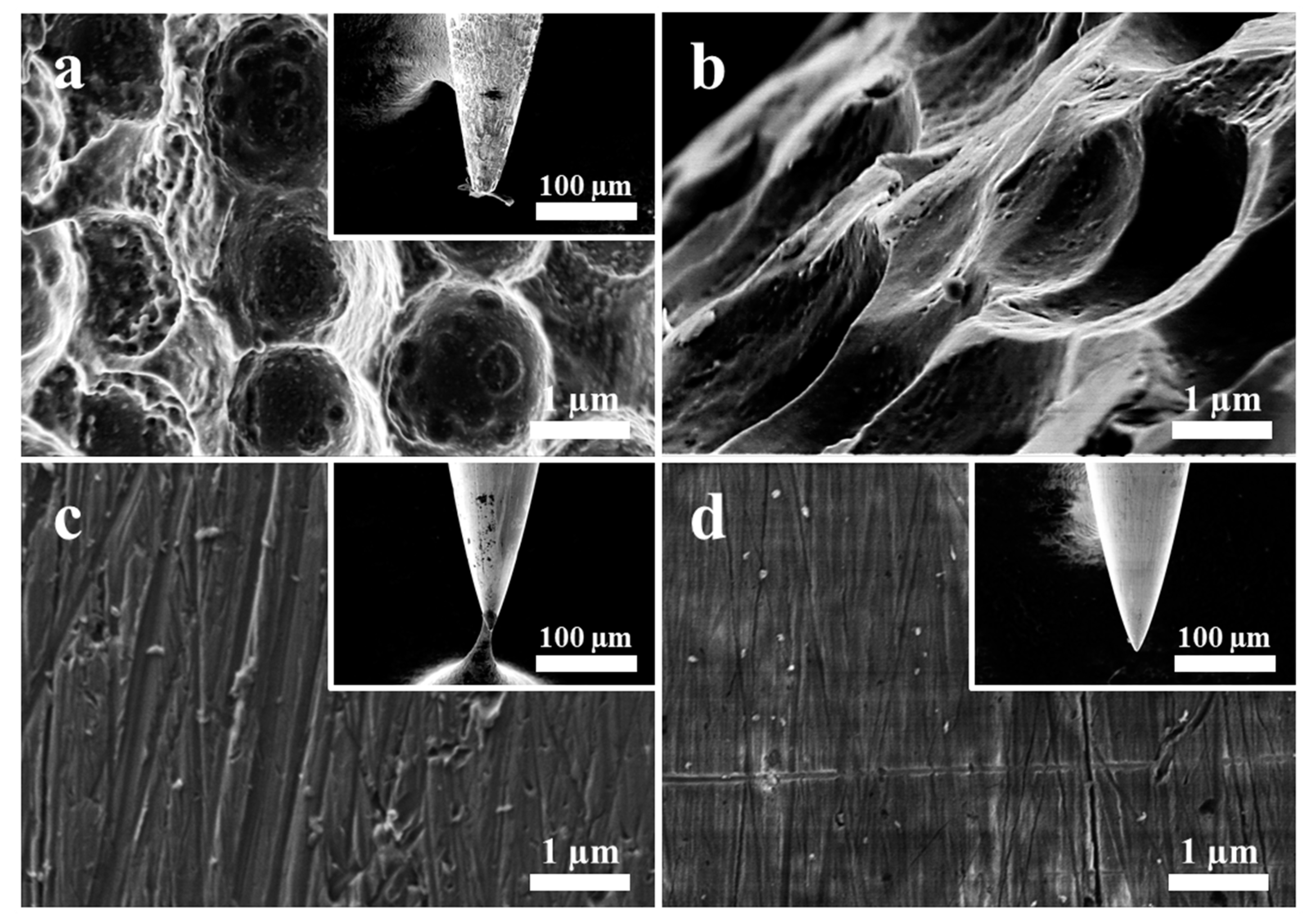 Catalysts 11 00717 g002 Catalysts 11 00717 g002