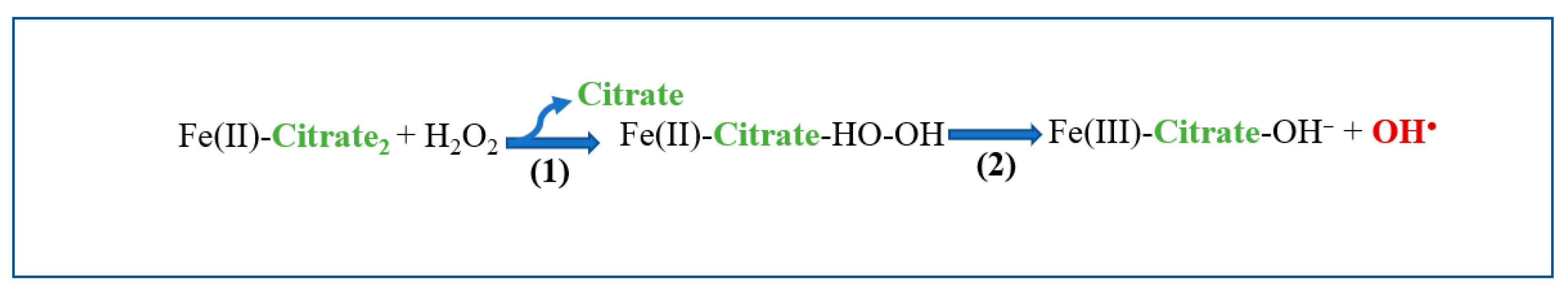 Catalysts 11 00722 g003