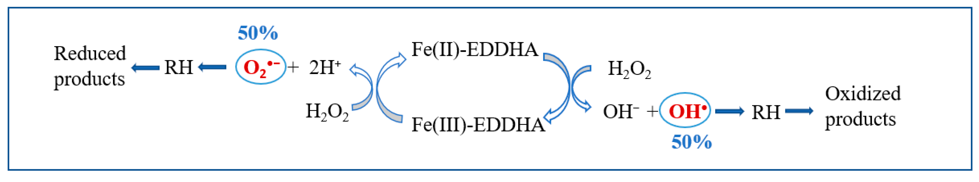 Catalysts 11 00722 g005