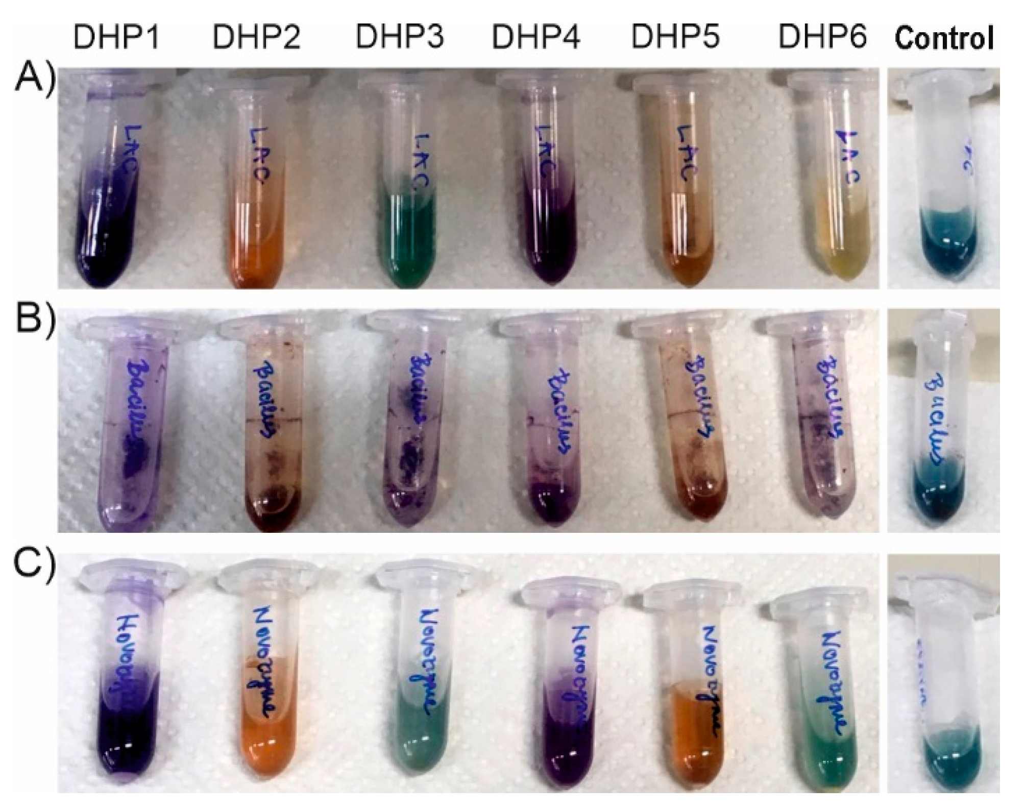 Catalysts 11 00727 g005 Catalysts 11 00727 g005