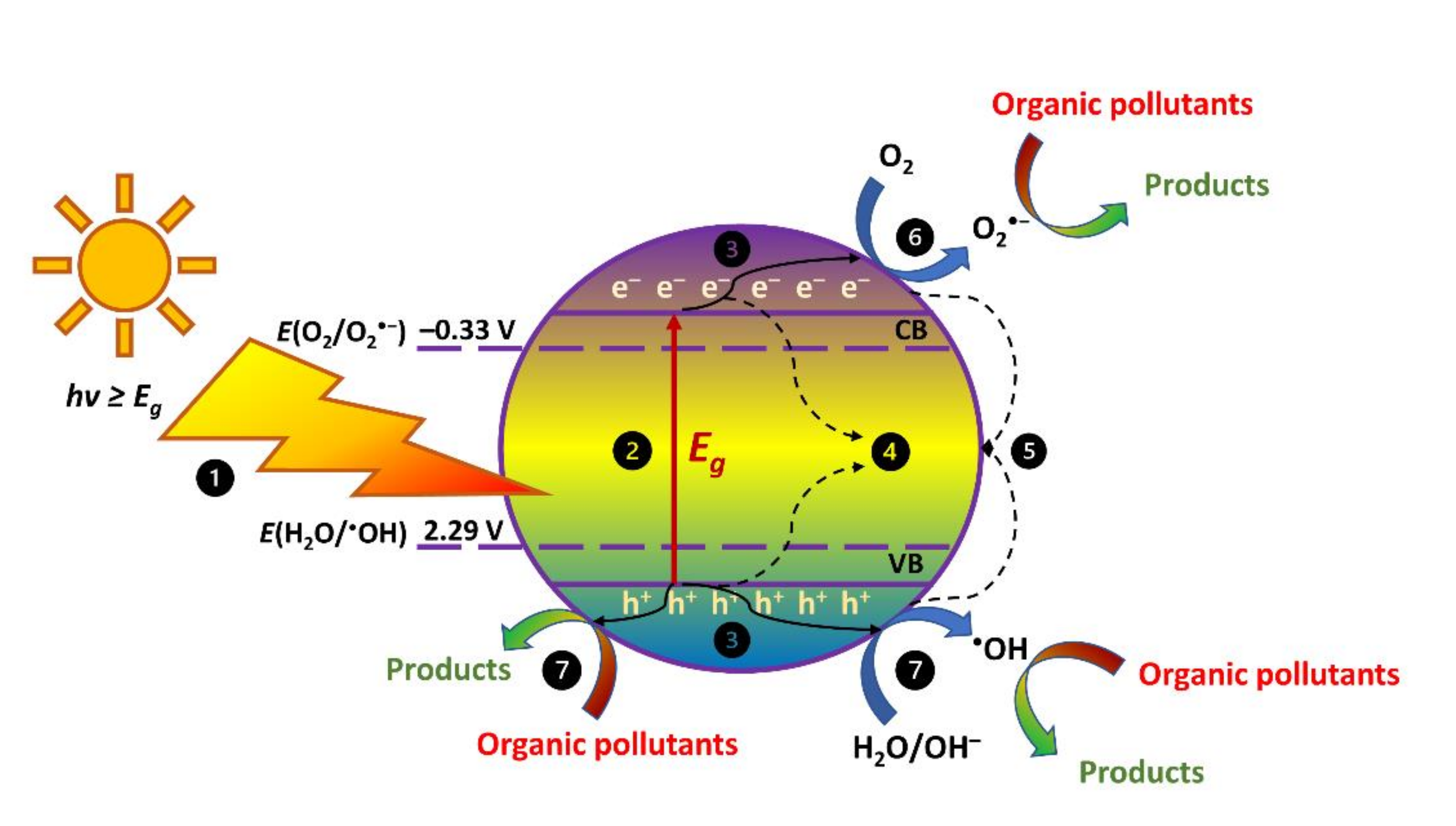 Catalysts 11 00728 g005