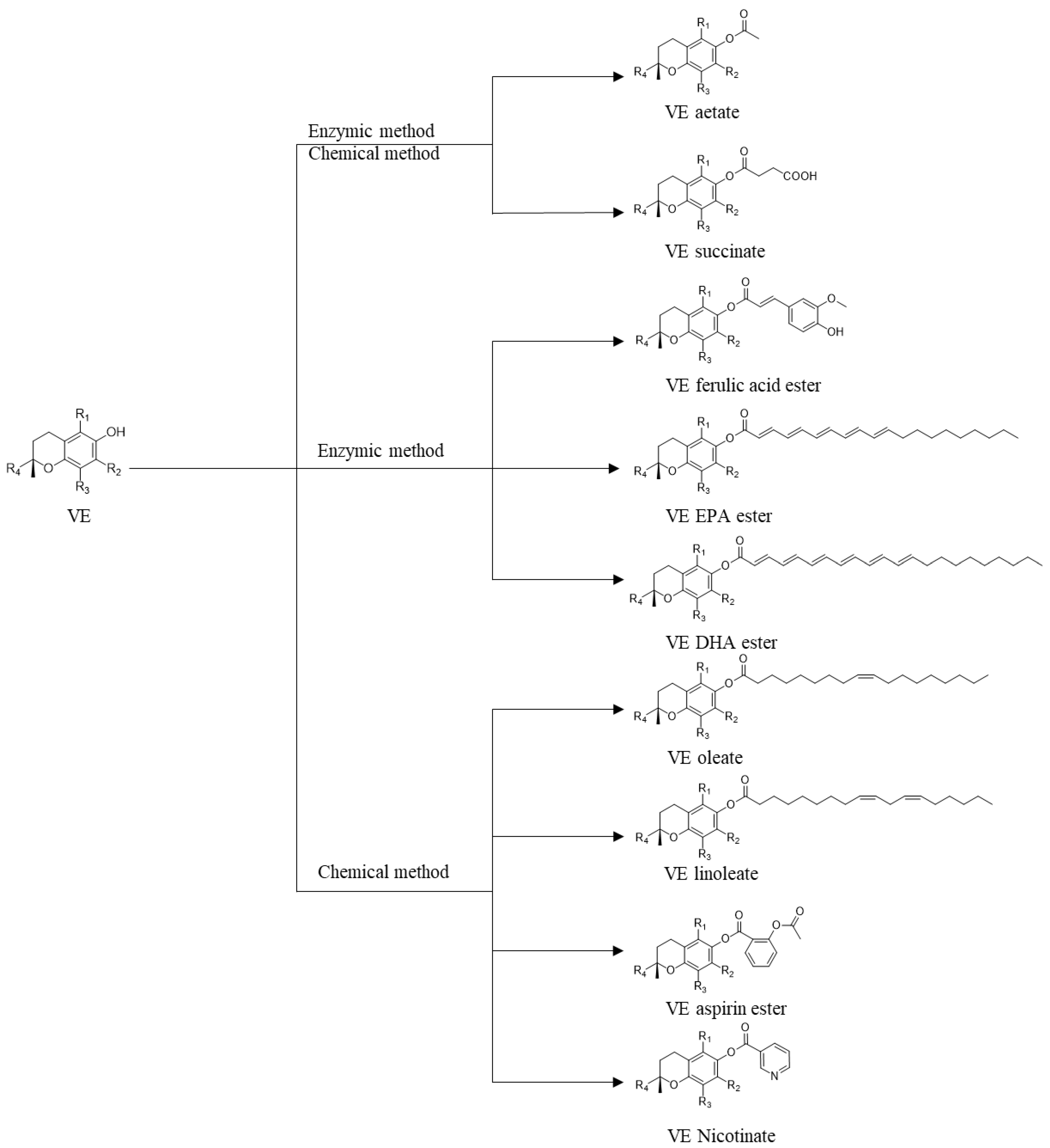 Catalysts 11 00739 g002