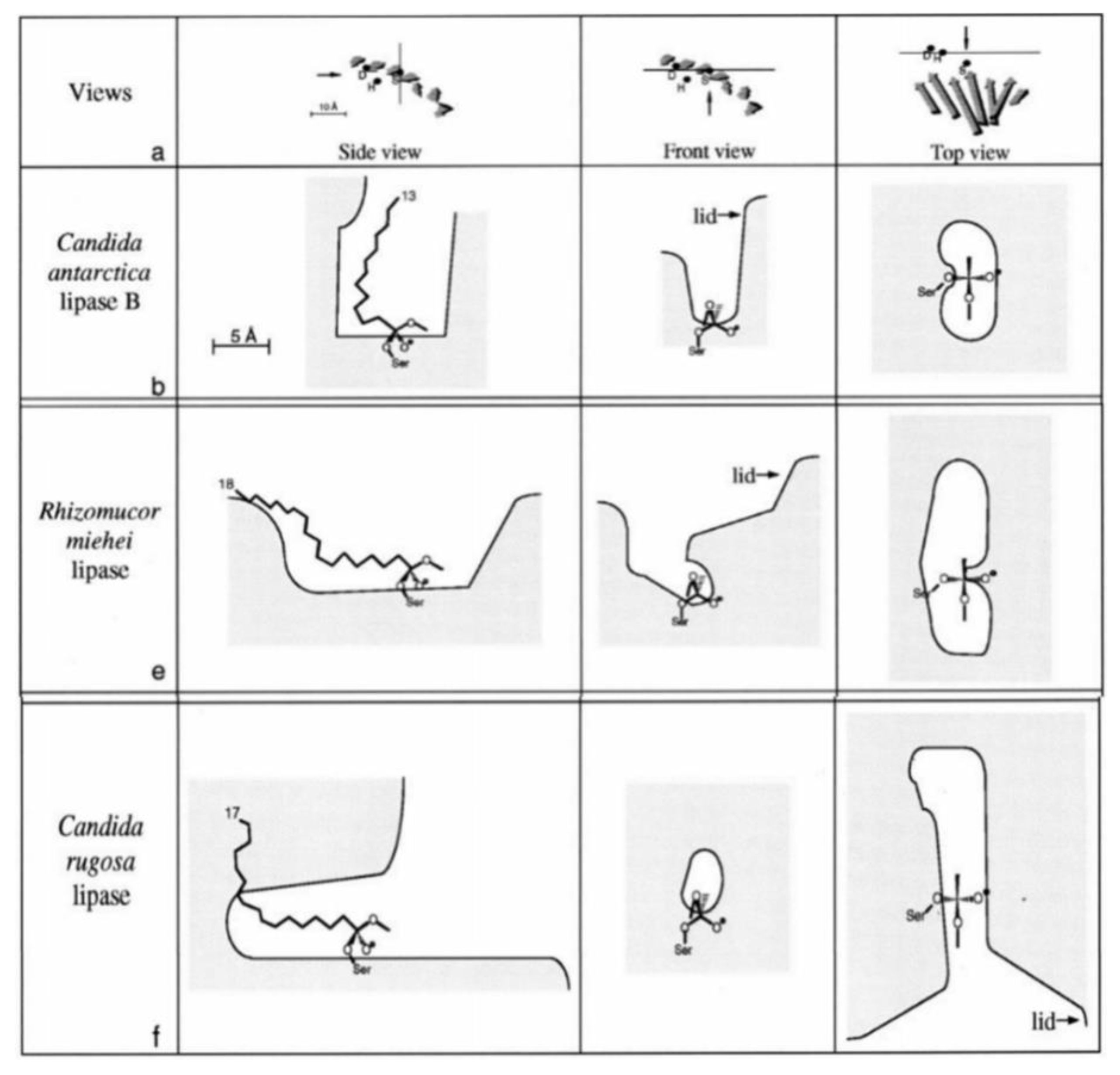 Catalysts 11 00739 g004