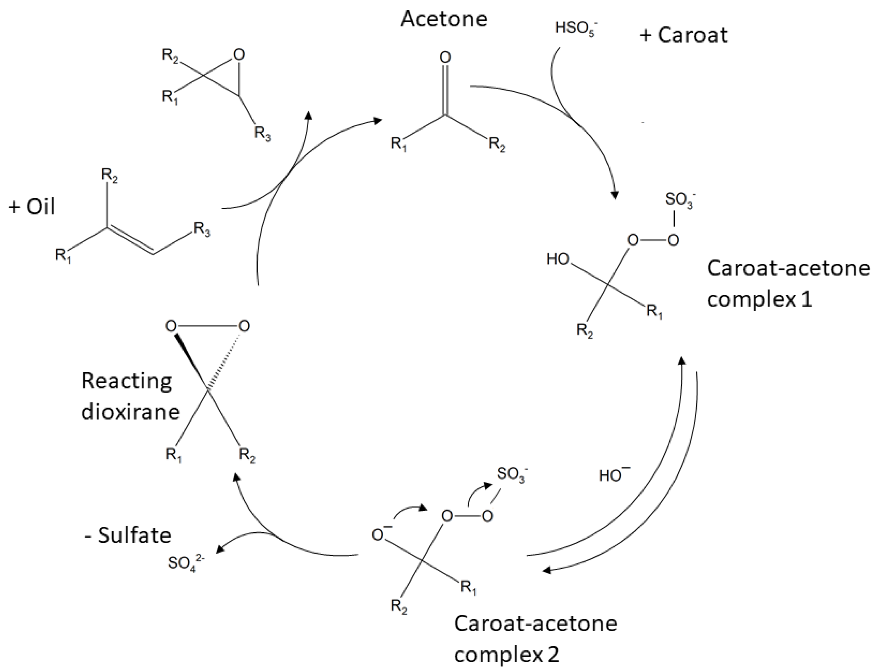 Catalysts 11 00765 g006