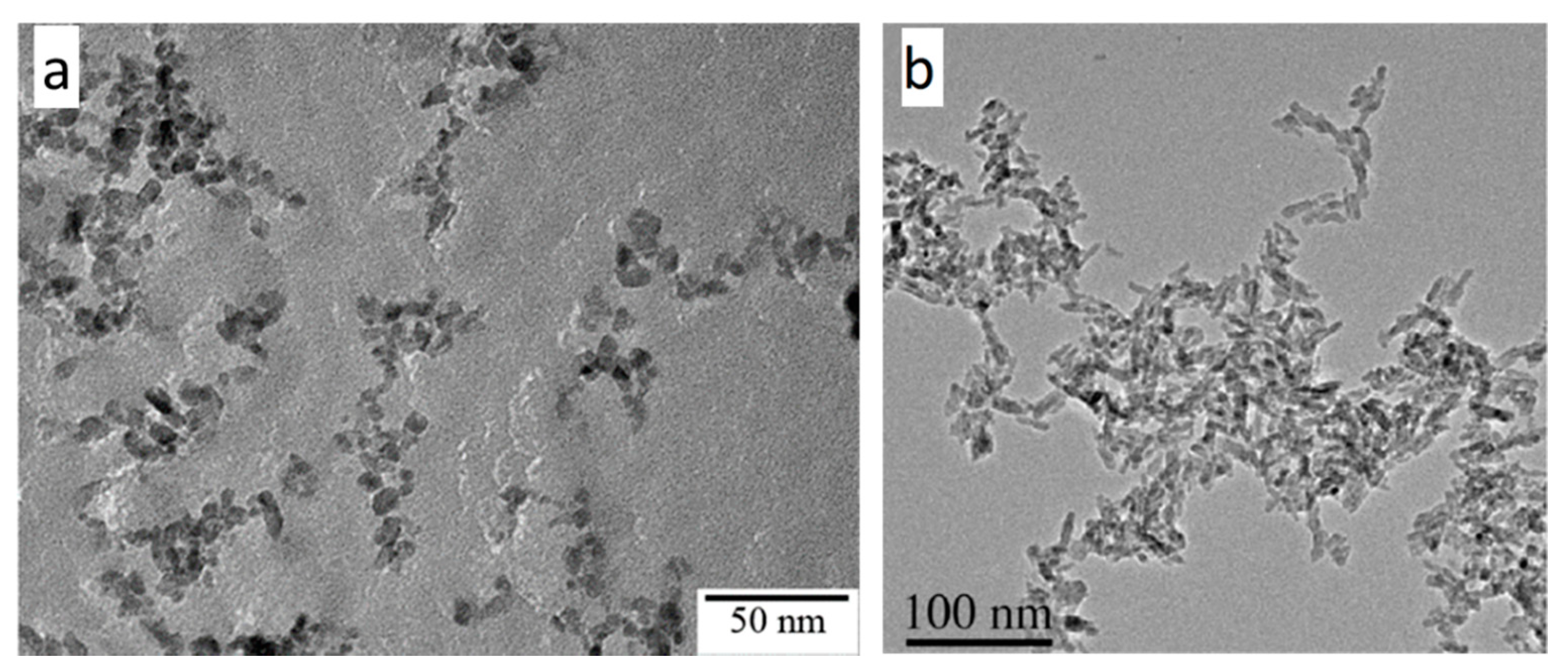 Catalysts 11 00768 g011