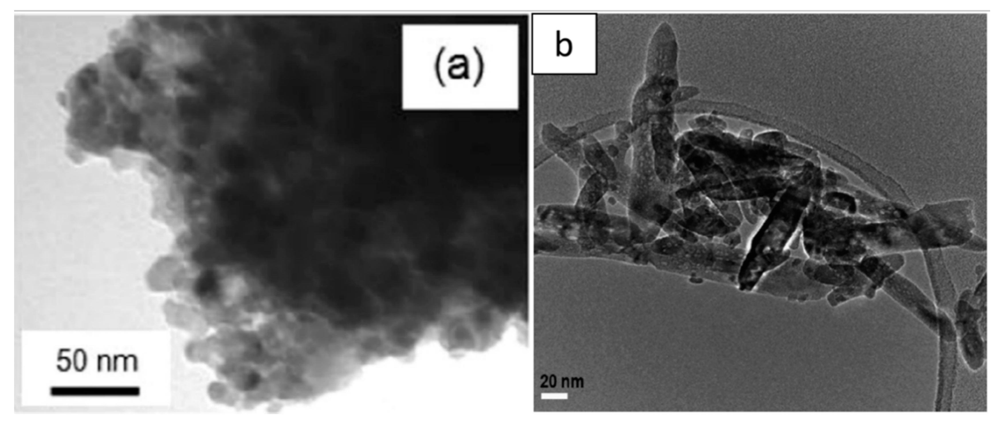 Catalysts 11 00768 g012