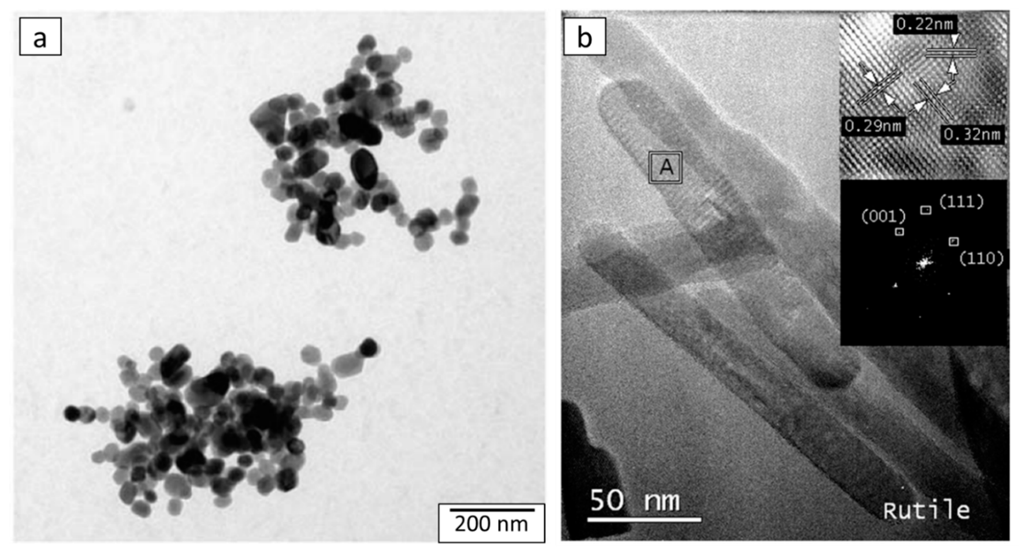 Catalysts 11 00768 g013